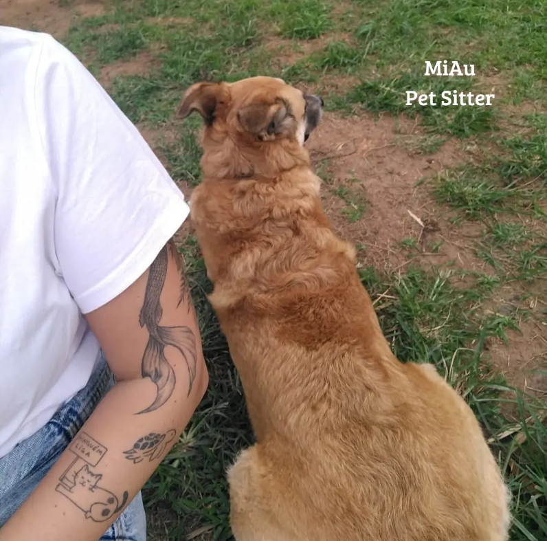 Galeria ALINE GHYSIO ANDRIOTTI