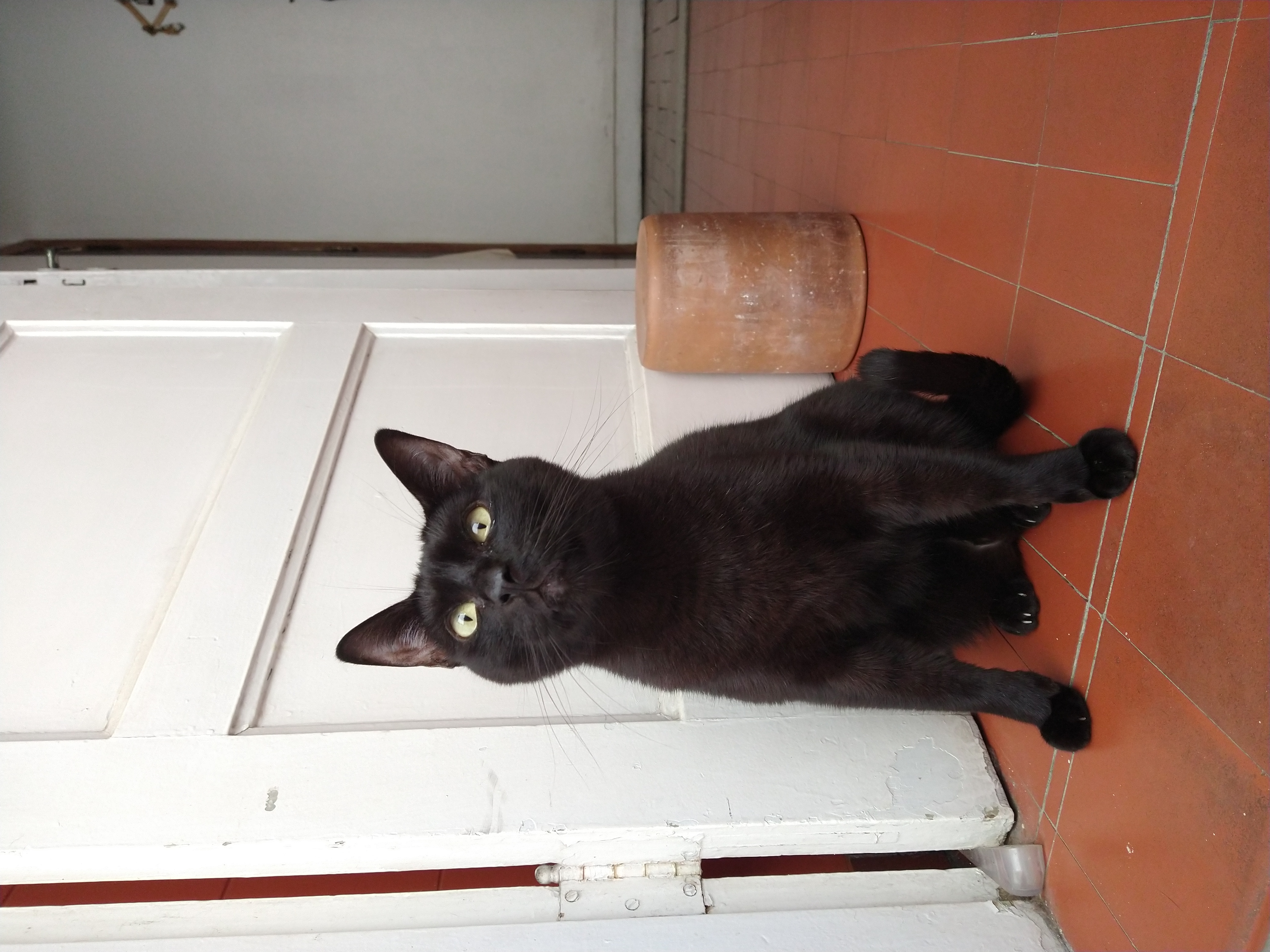 Galeria ALINE GHYSIO ANDRIOTTI