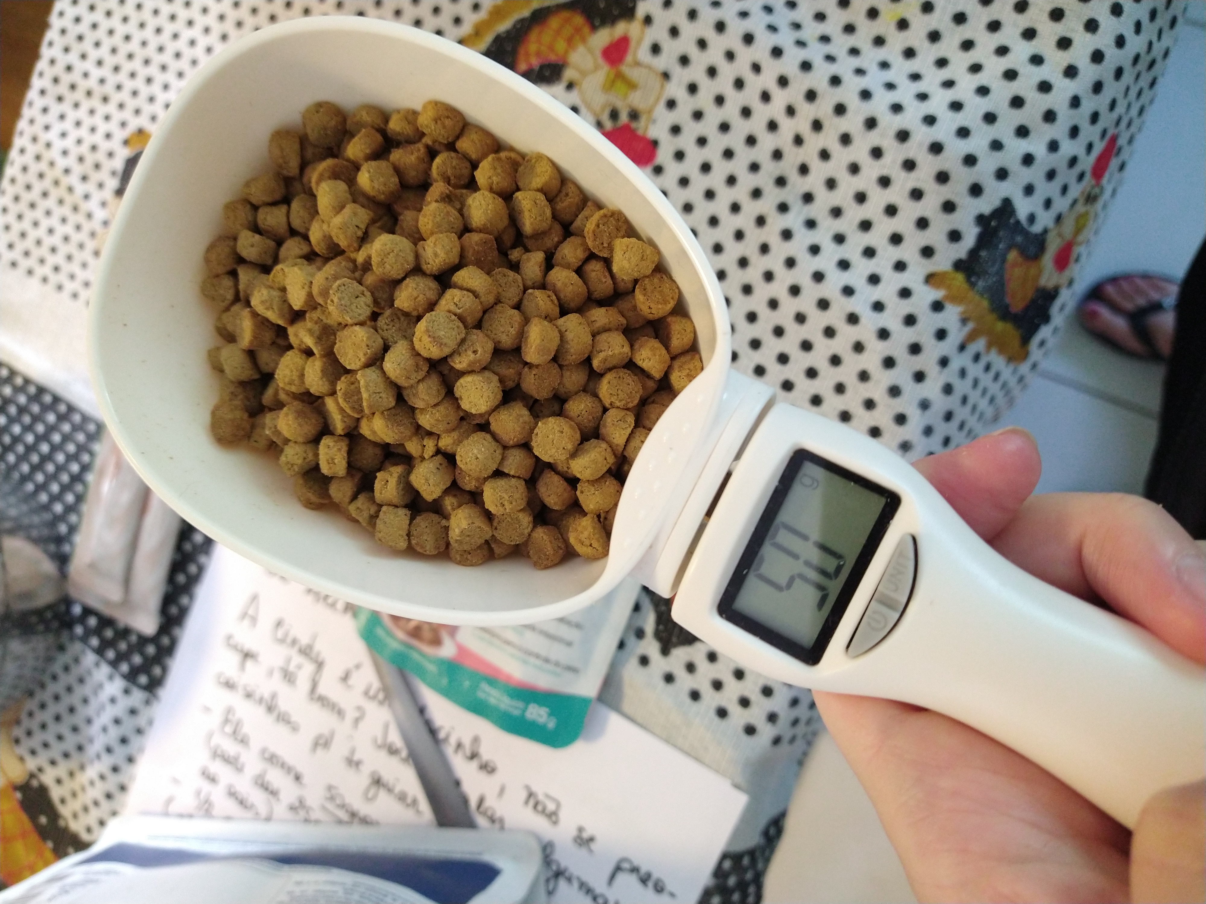 Galeria ALINE GHYSIO ANDRIOTTI