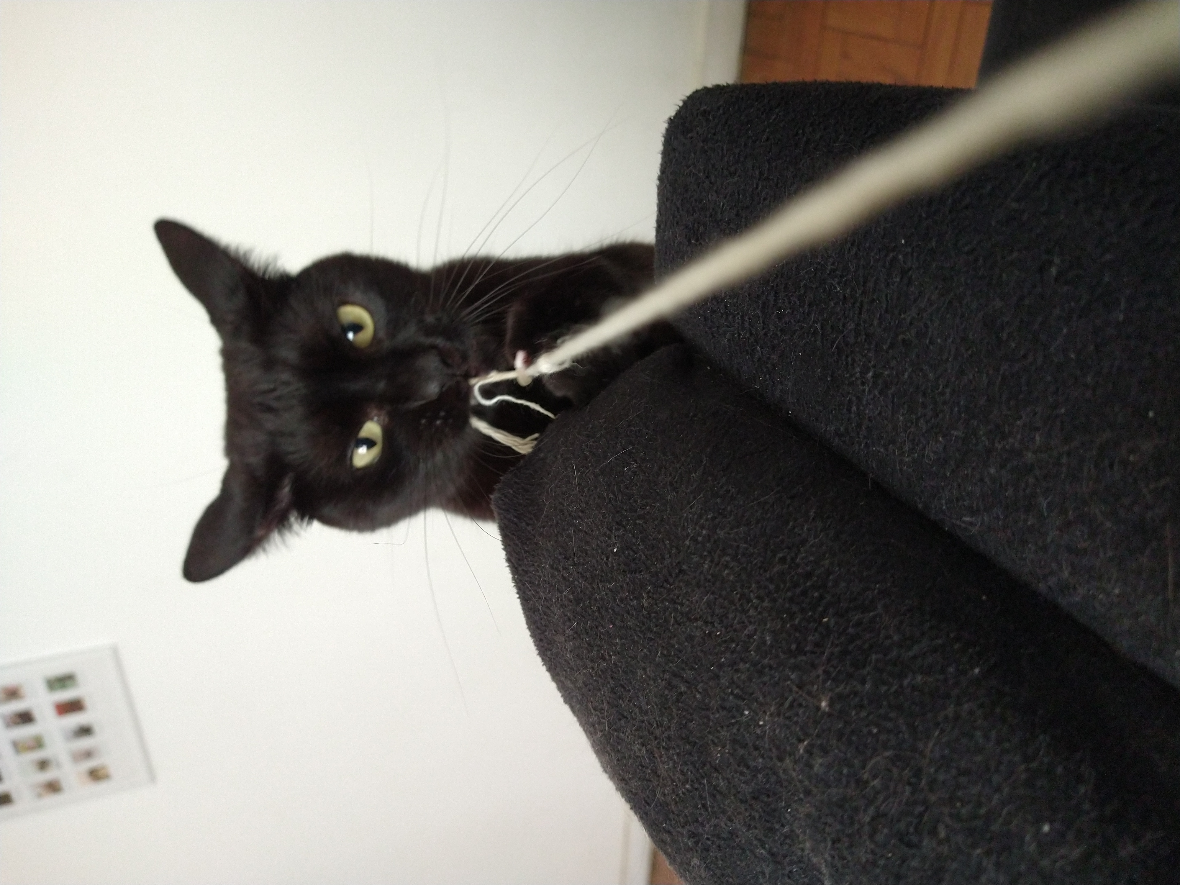 Galeria ALINE GHYSIO ANDRIOTTI