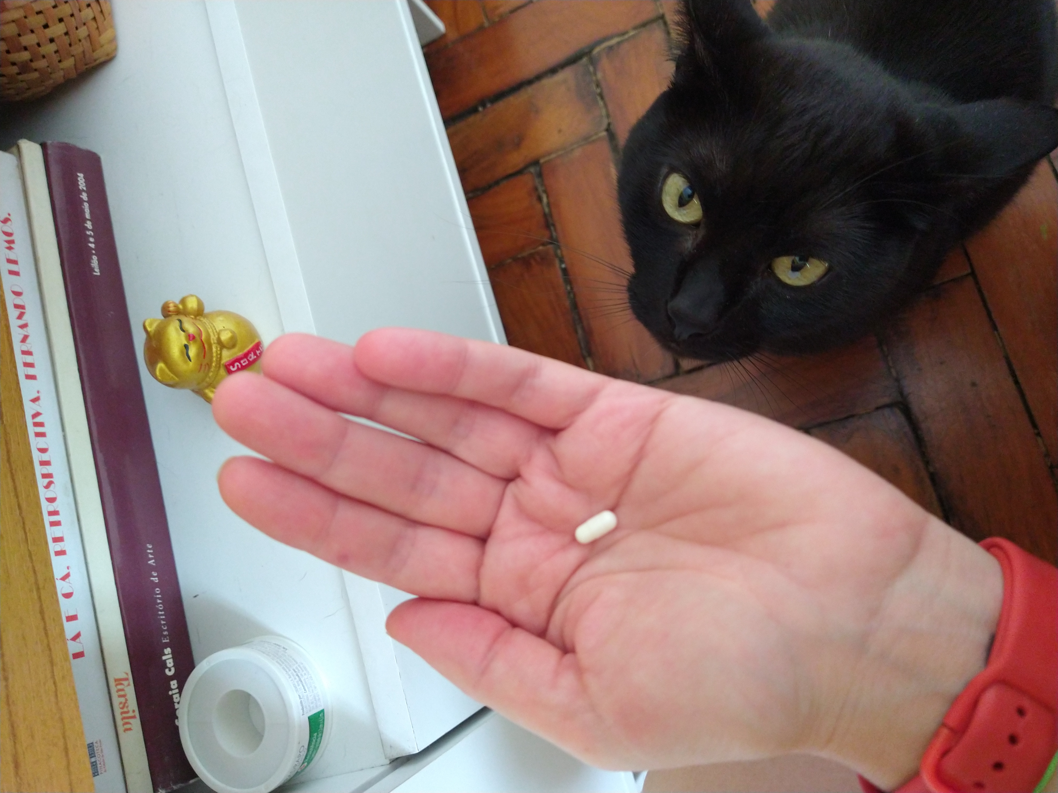 Galeria ALINE GHYSIO ANDRIOTTI