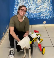 Capa Larissa Fernandes Moratta