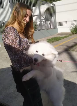 Galeria Larissa Fernandes Moratta