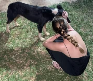 Galeria Larissa Fernandes Moratta