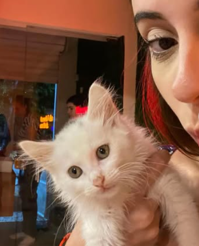 Galeria Larissa Fernandes Moratta