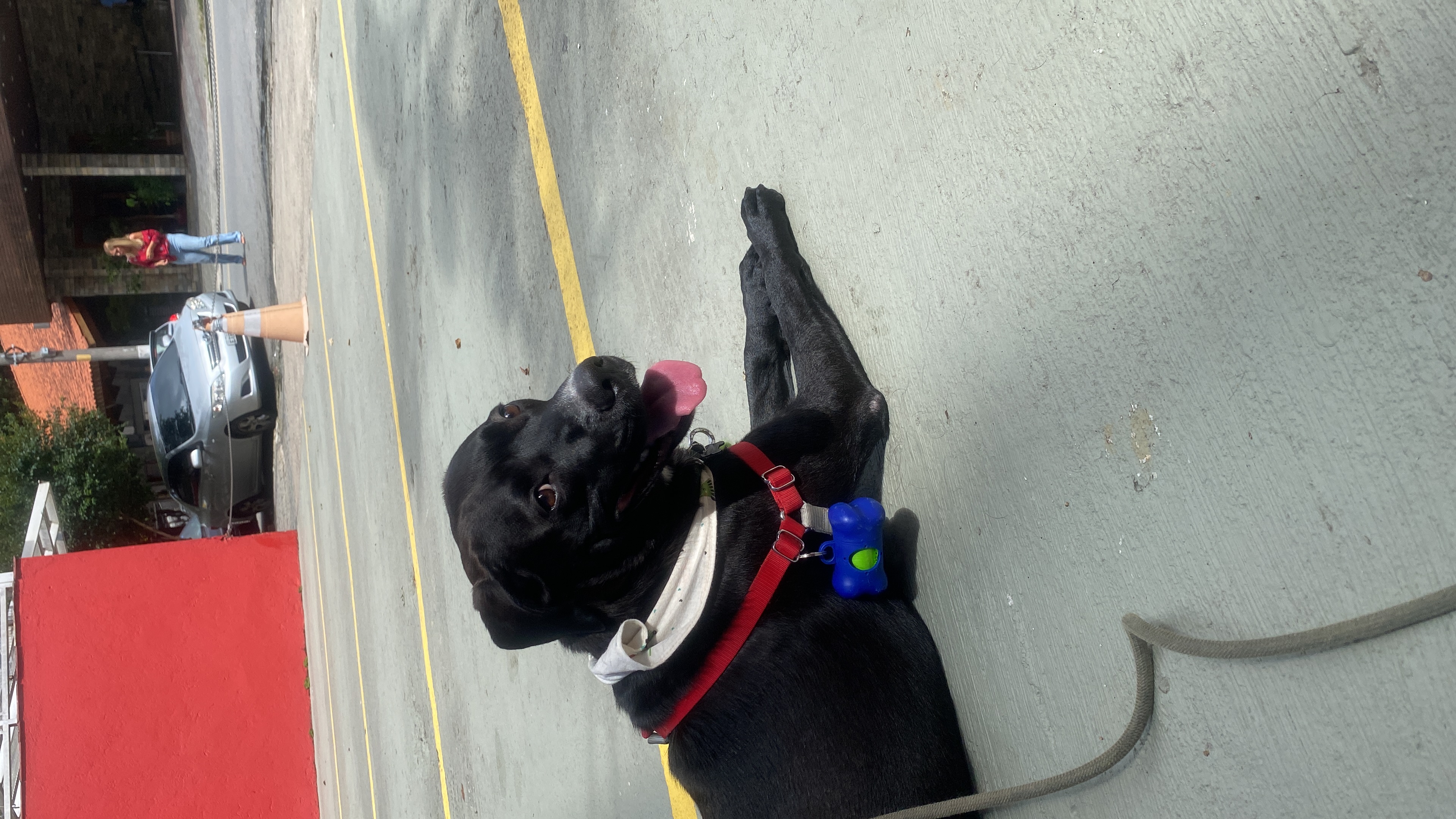 Galeria Cajú Rodrigues