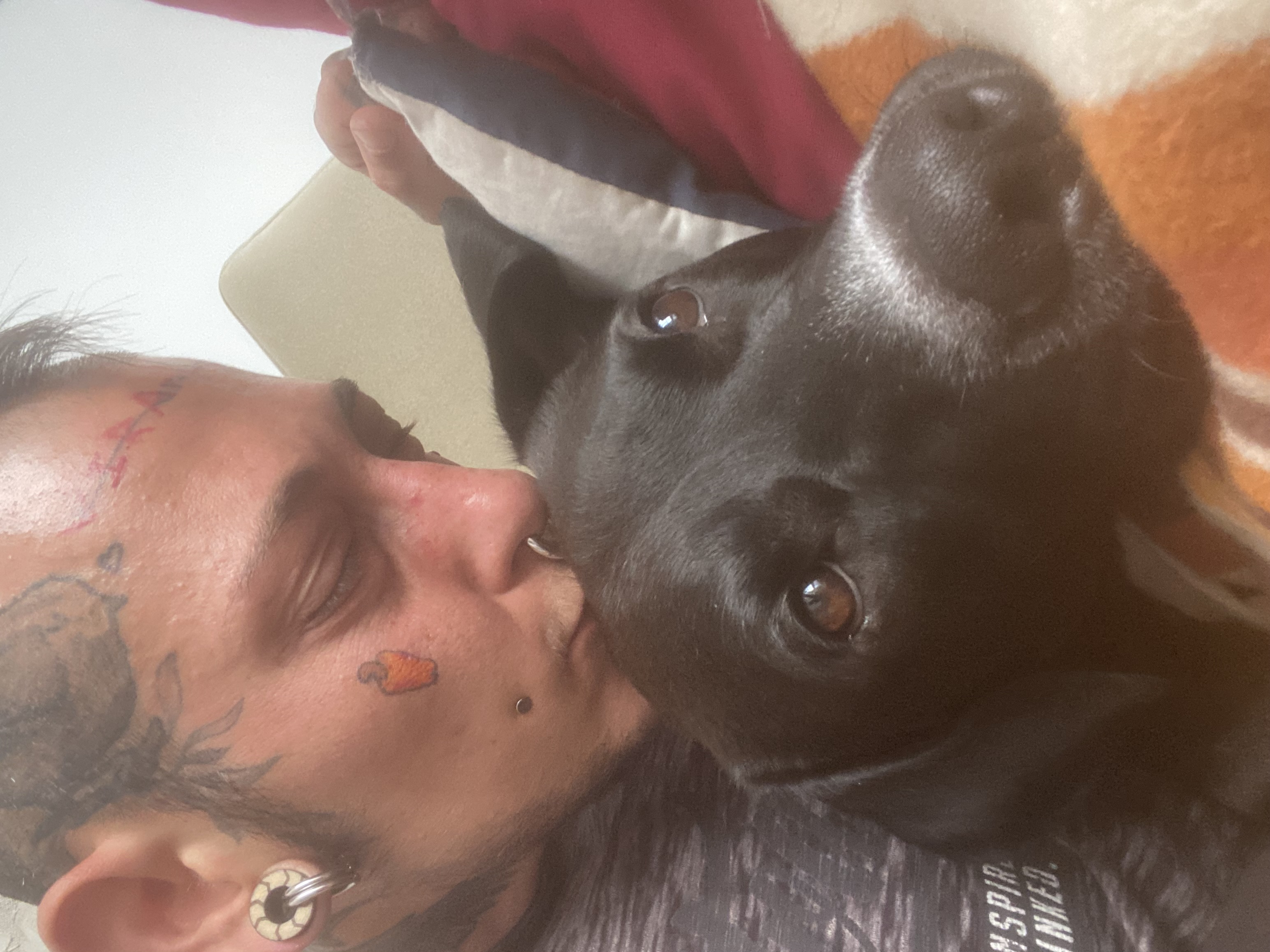 Galeria Cajú Rodrigues