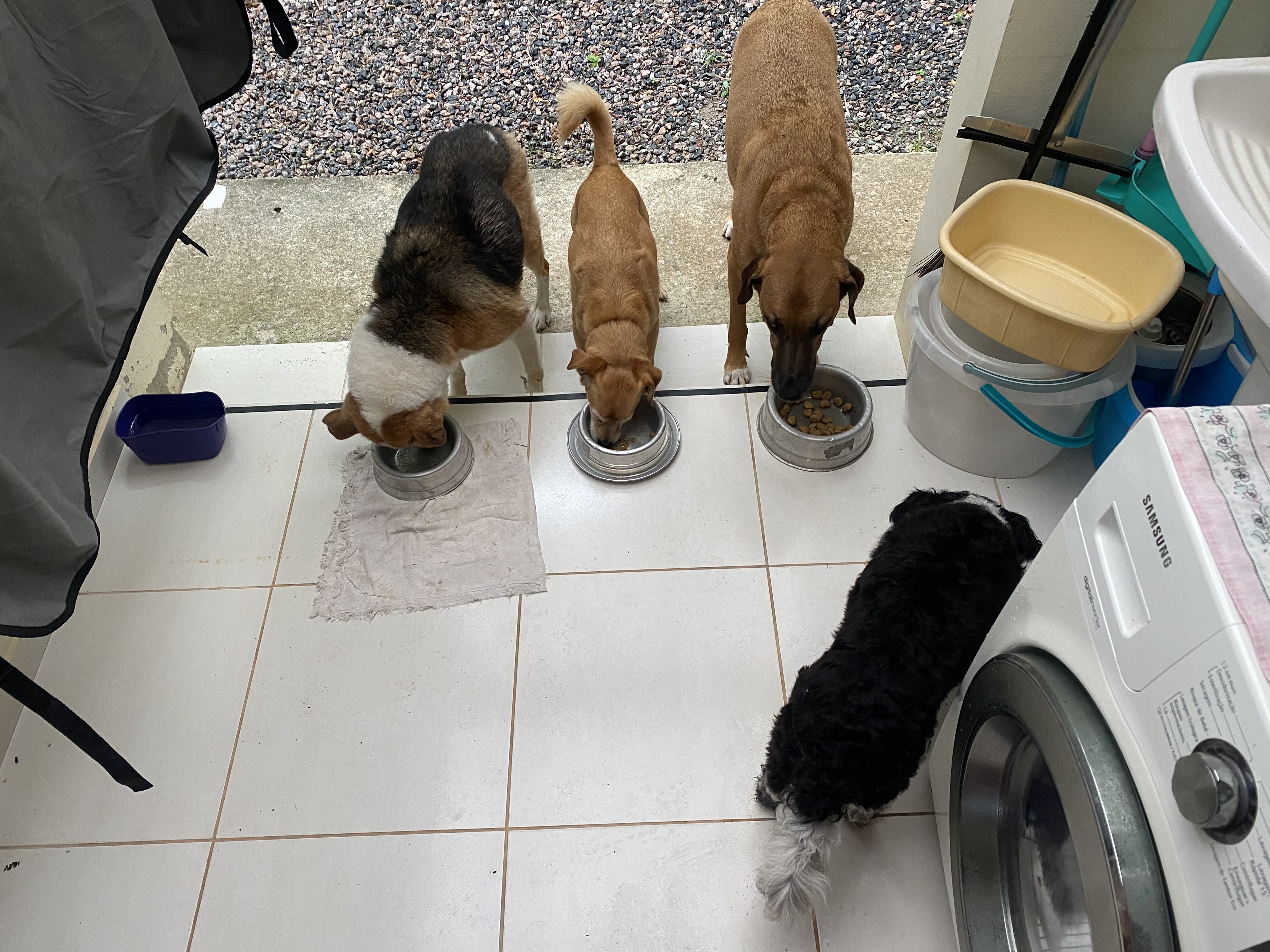 Galeria Cajú Rodrigues