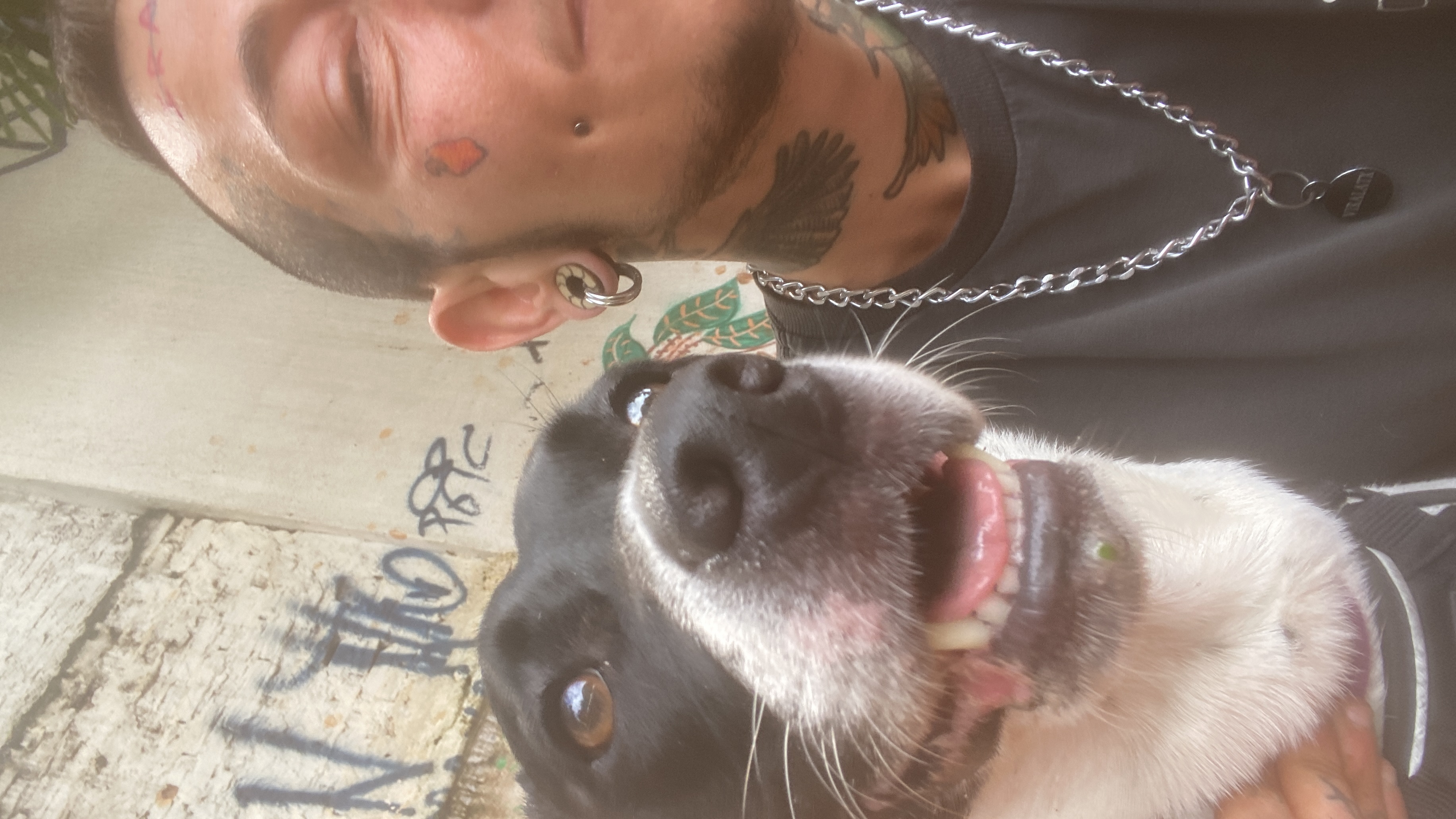 Galeria Cajú Rodrigues