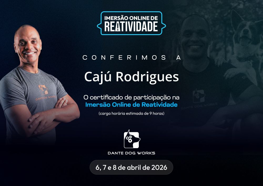 Galeria Cajú Rodrigues