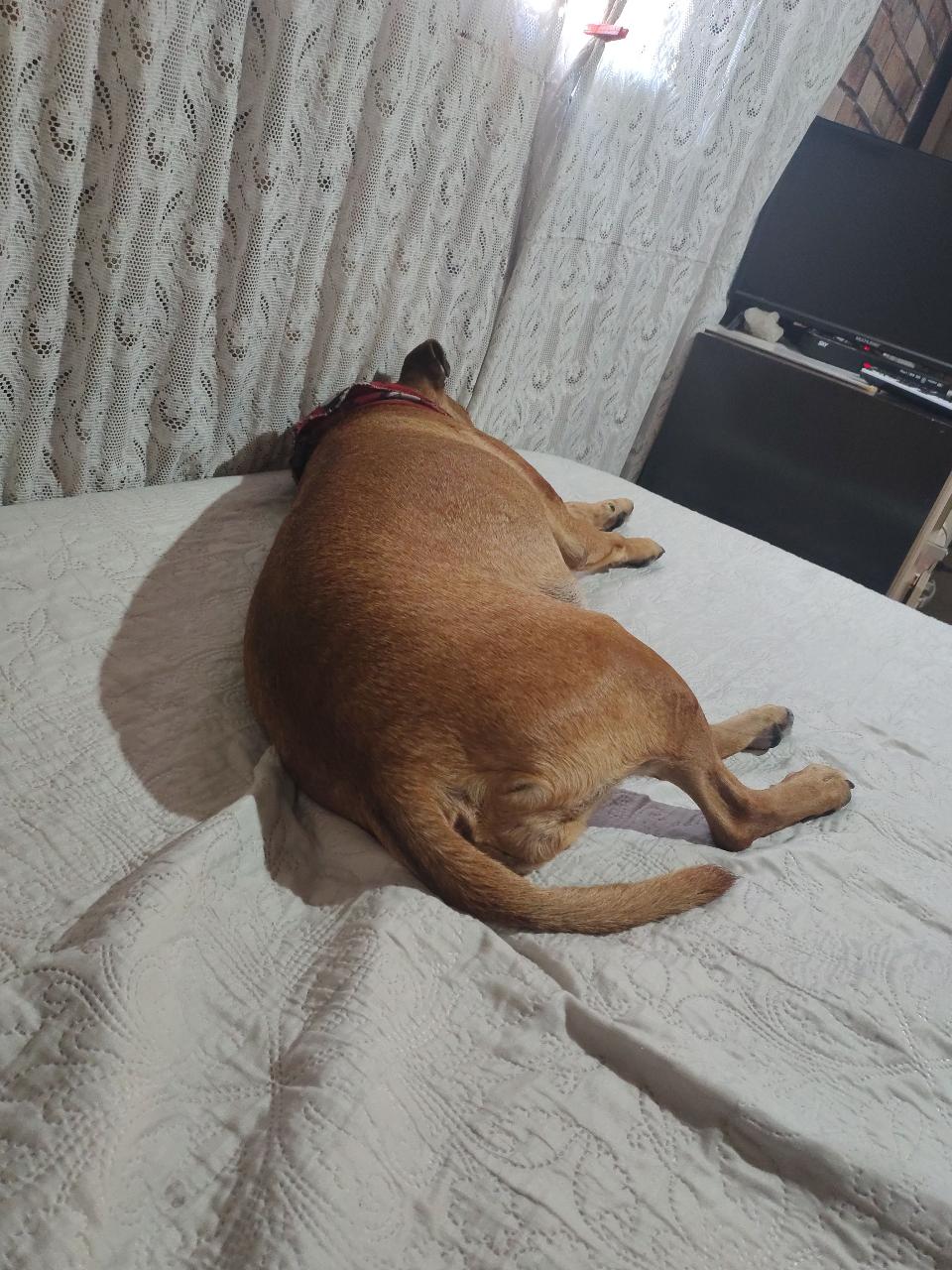 Trabalho de Fernanda Bueno — foto 1