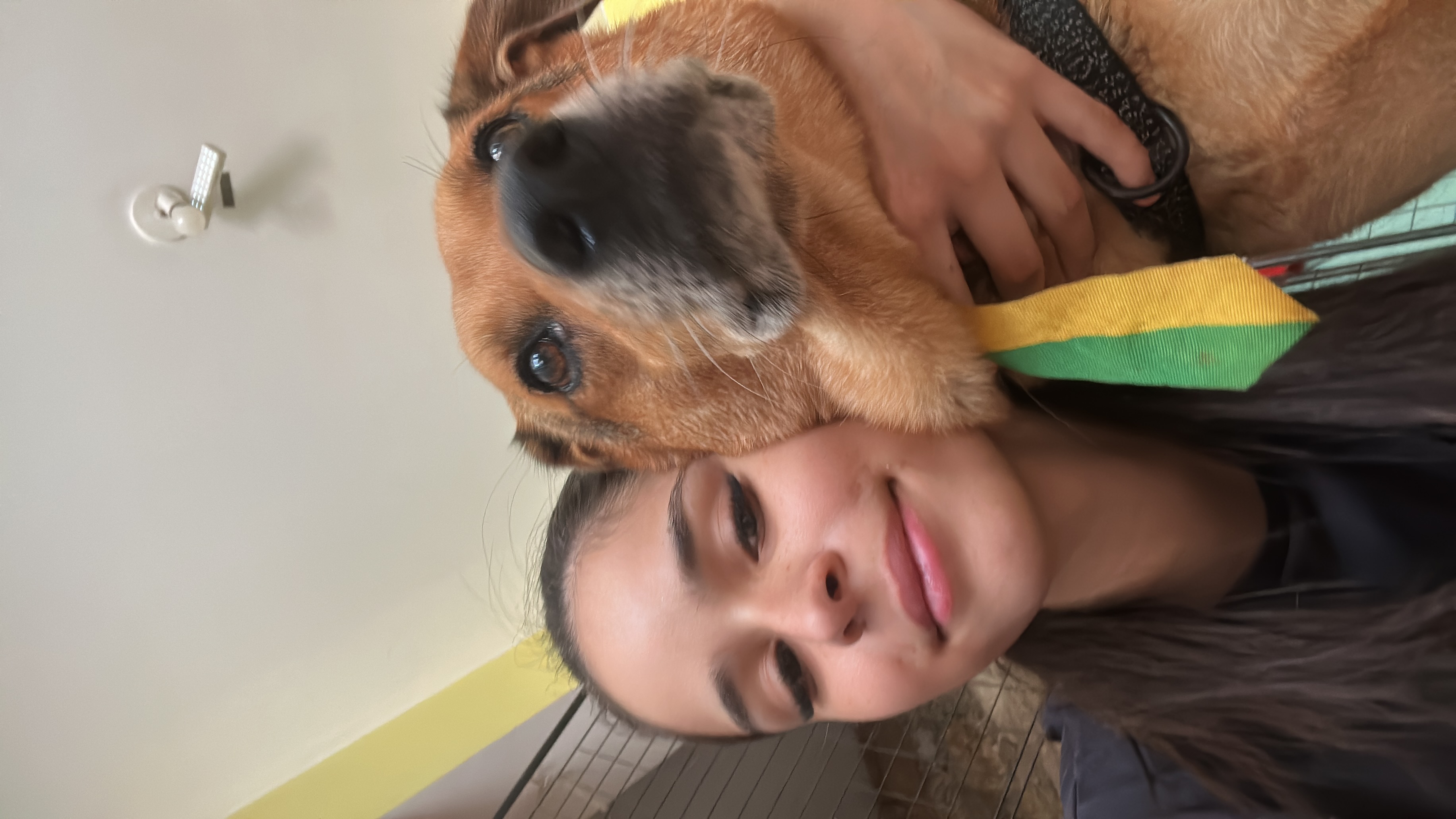 Galeria Clara Celinna Viana Fernandes Teixeira 