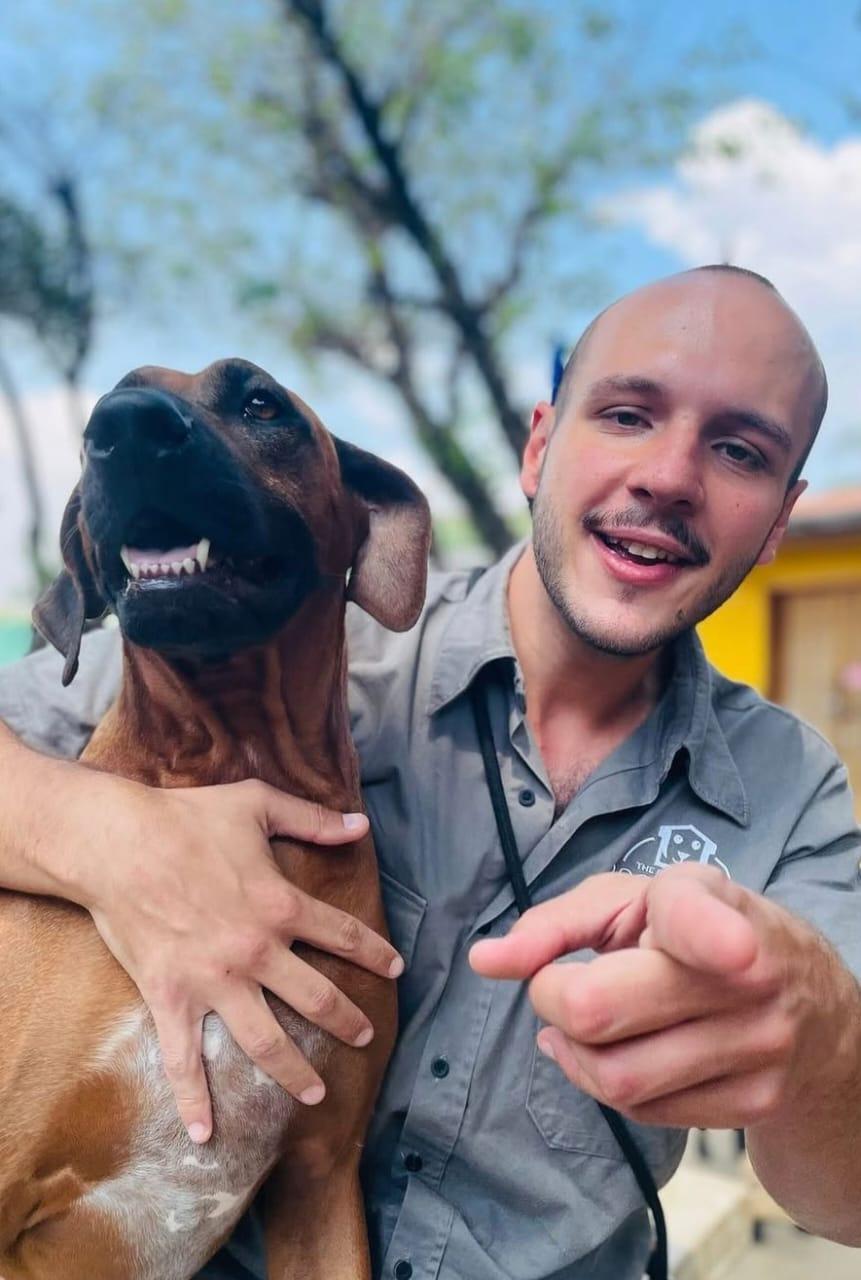 Trabalho de João Pedro — foto 1