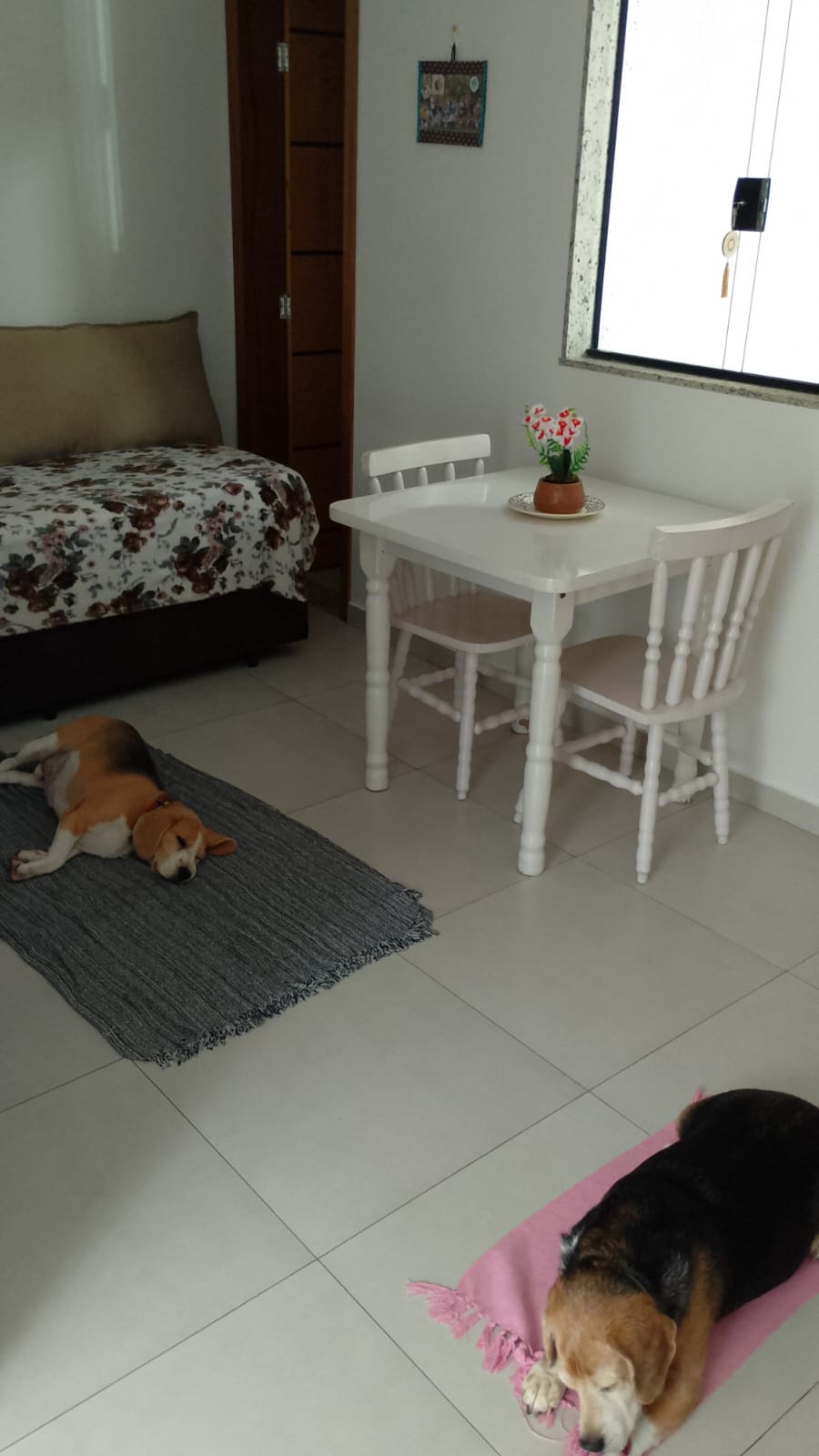 Galeria 🐾 Jan Andrade -HOMESNOOPY🐾 Hotelzinho Domiciliar dos Bichinhos. 😸🐶🏡