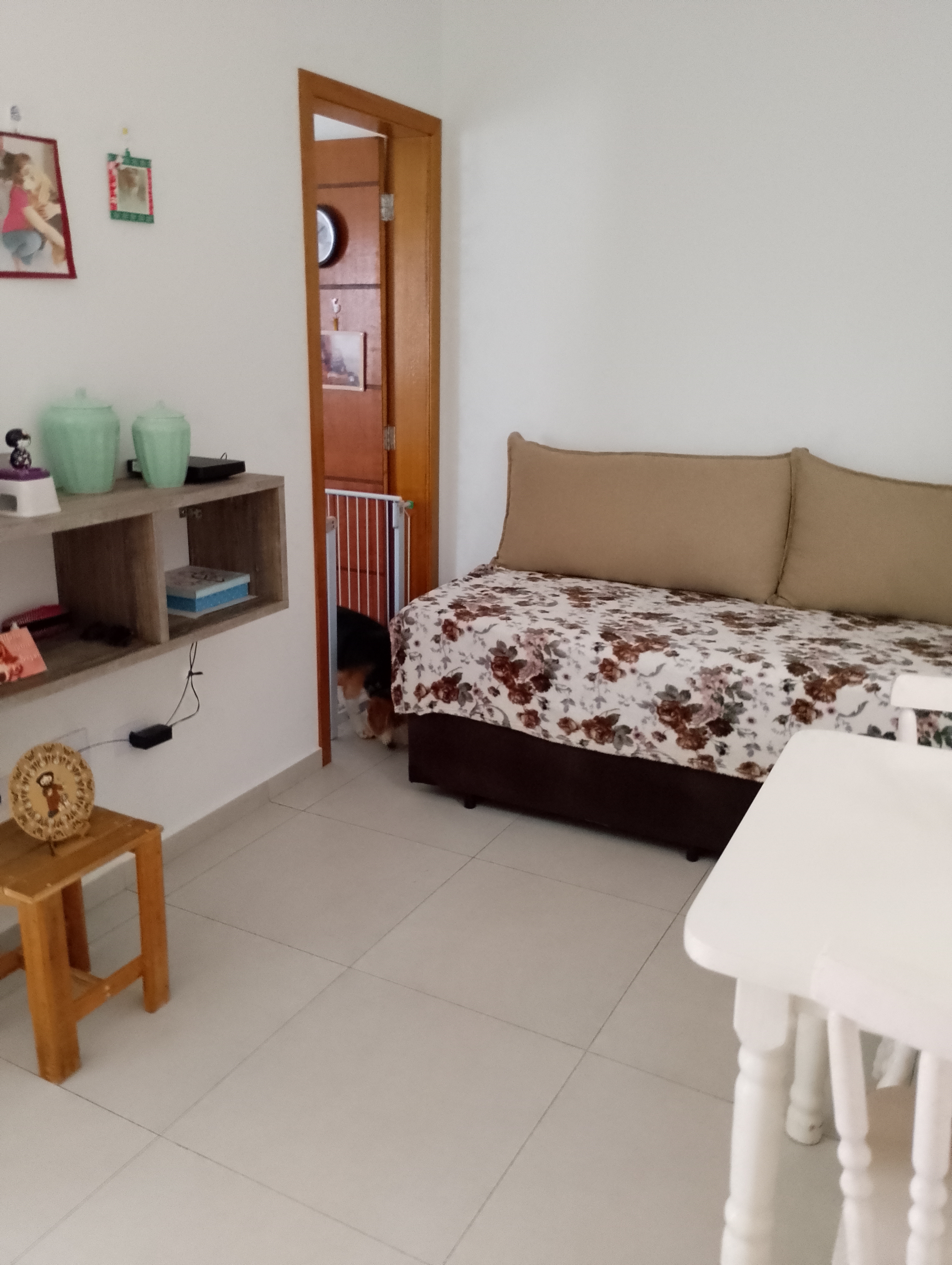 Galeria 🐾 Jan Andrade -HOMESNOOPY🐾 Hotelzinho Domiciliar dos Bichinhos. 😸🐶🏡