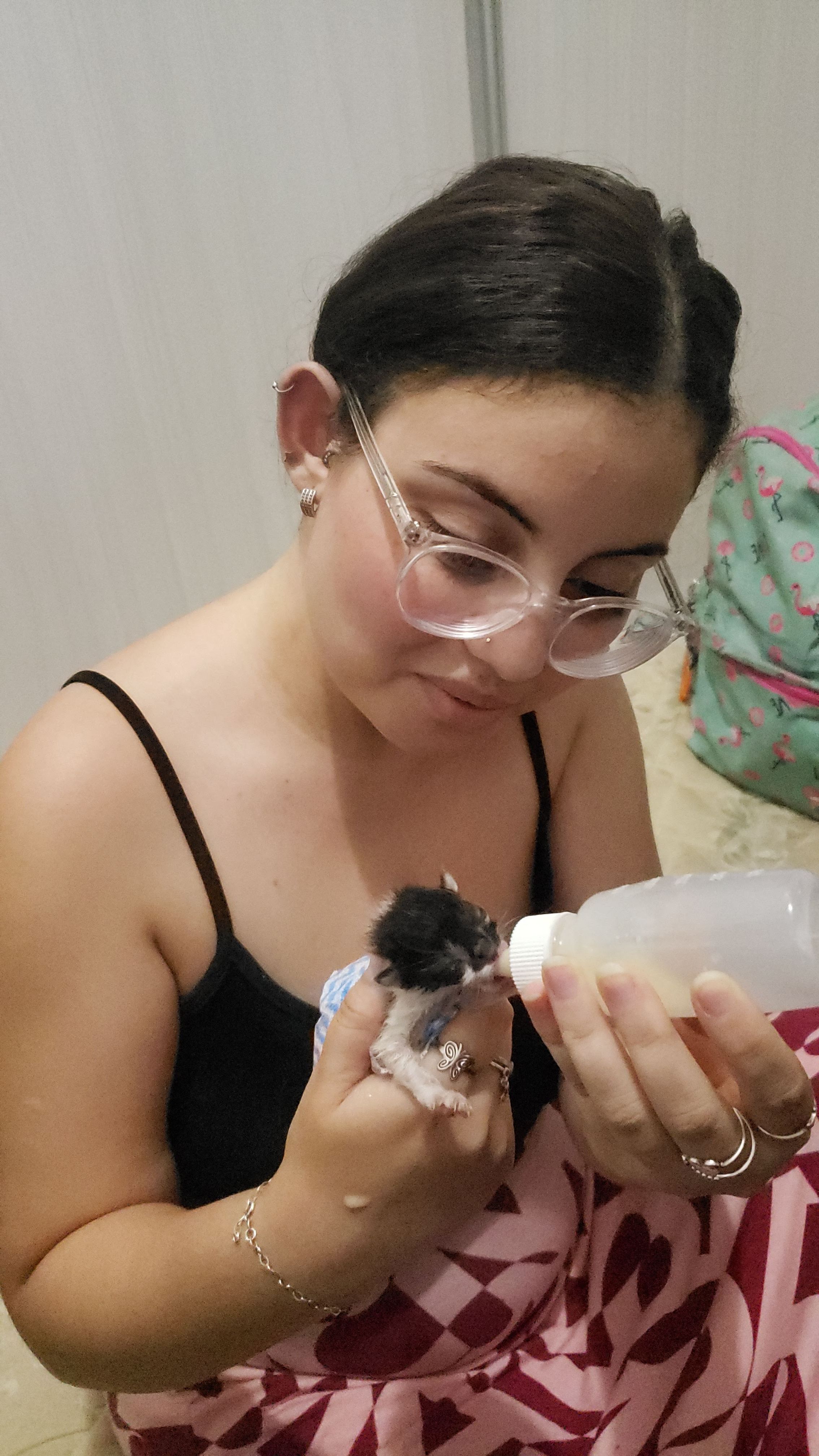 Galeria Priscila Geraldo Greco