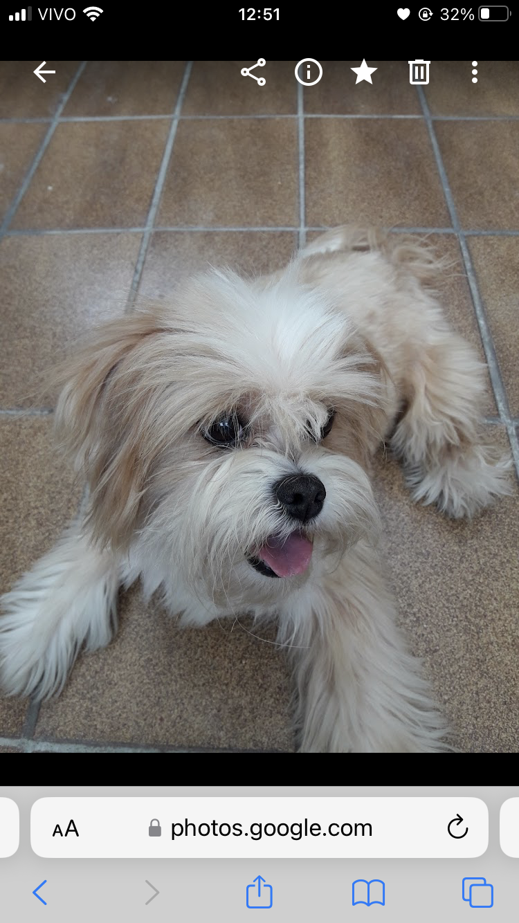 Capa Patricia Aparecida Hirata