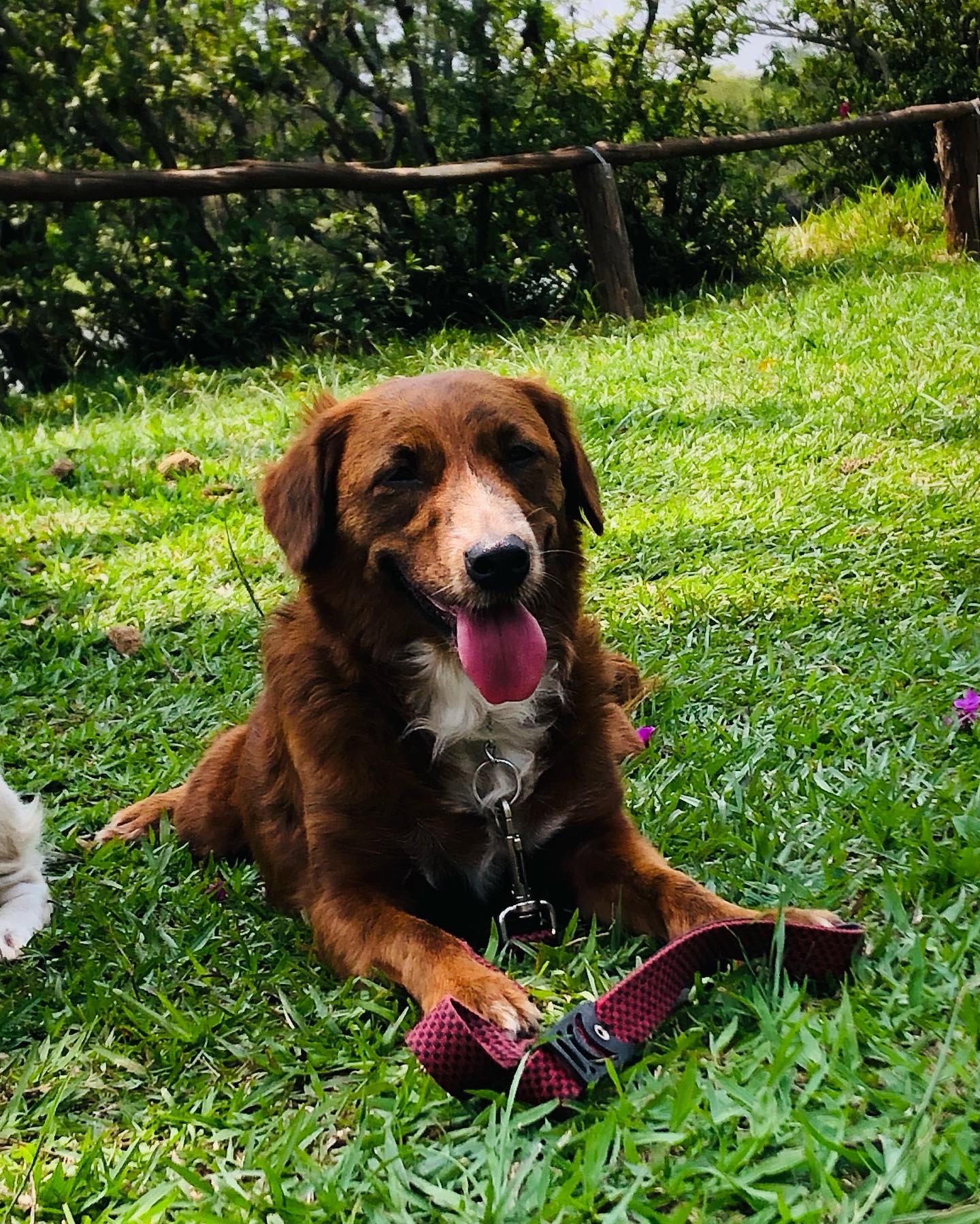 Galeria Patricia Aparecida Hirata