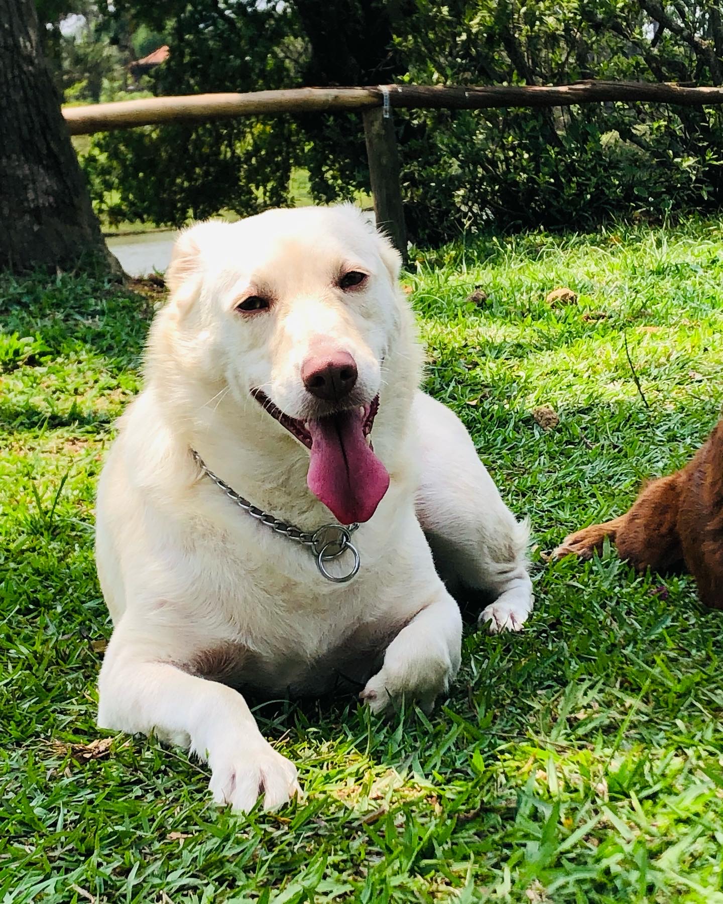 Galeria Patricia Aparecida Hirata