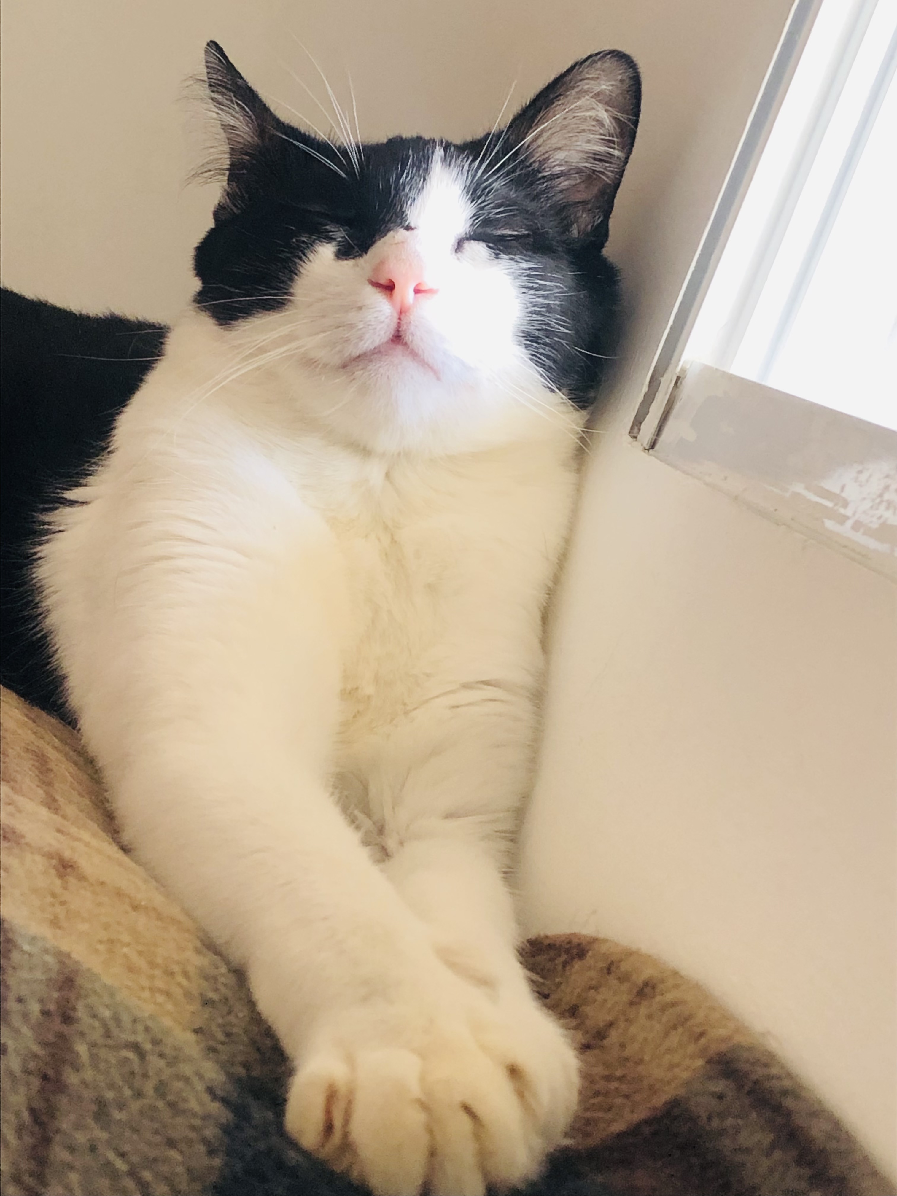 Galeria Patricia Aparecida Hirata