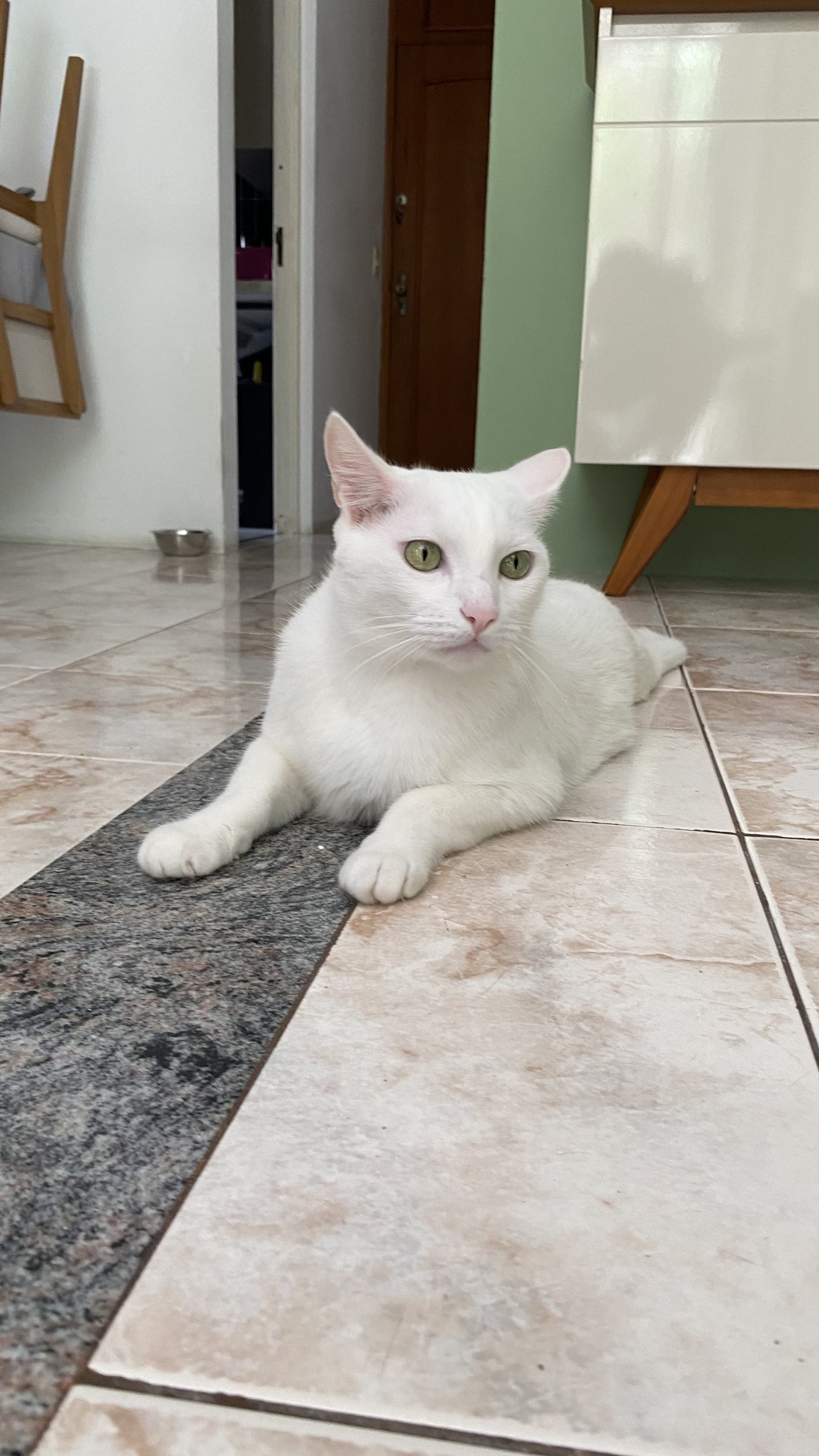 Trabalho de Filipe Neves — foto 8