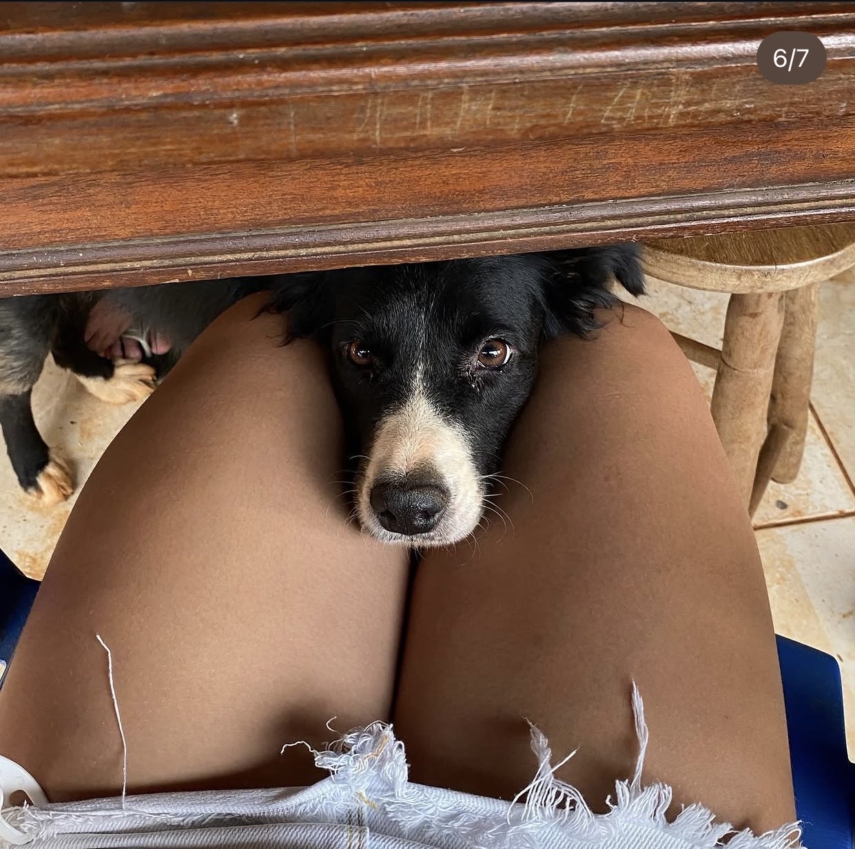 Trabalho de Giovana De — foto 4