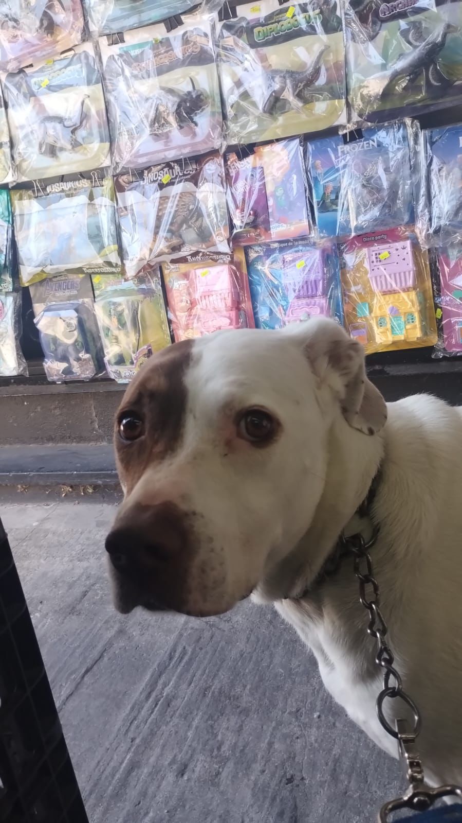 Capa Kevin Jonathan Quinteros Basiano