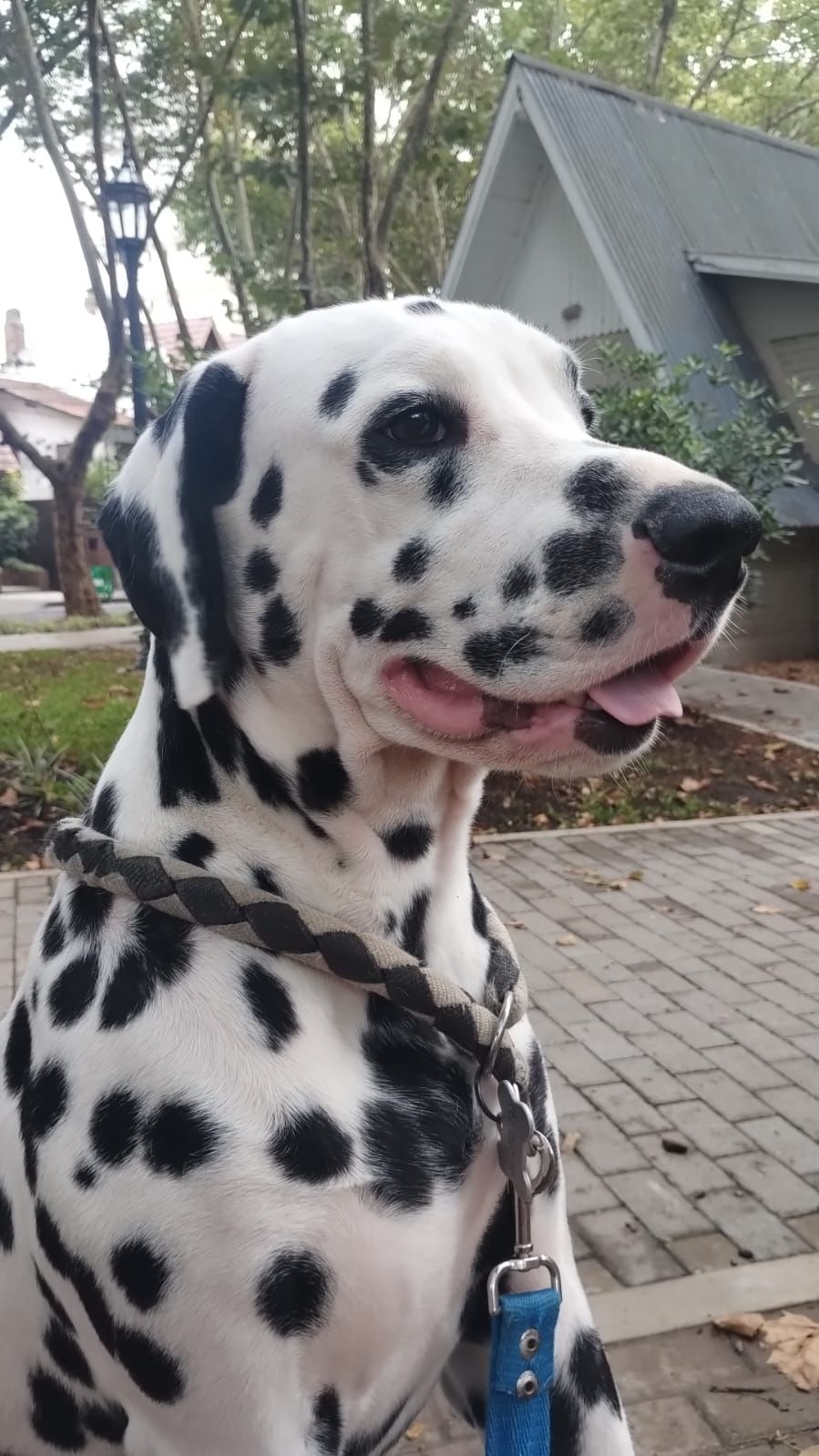 Galeria Kevin Jonathan Quinteros Basiano