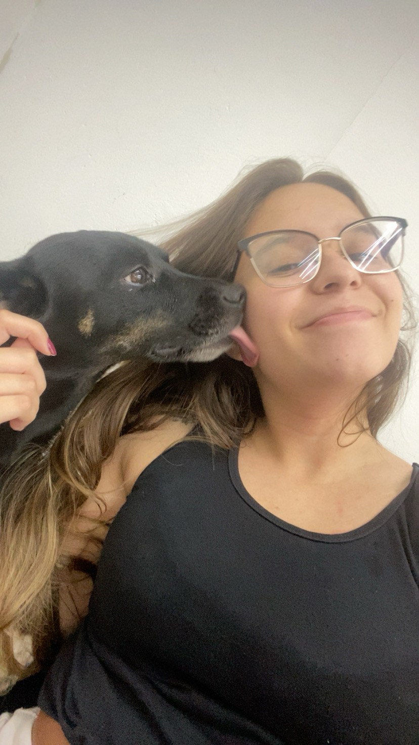Galeria Luana Neri Duran Hernandes