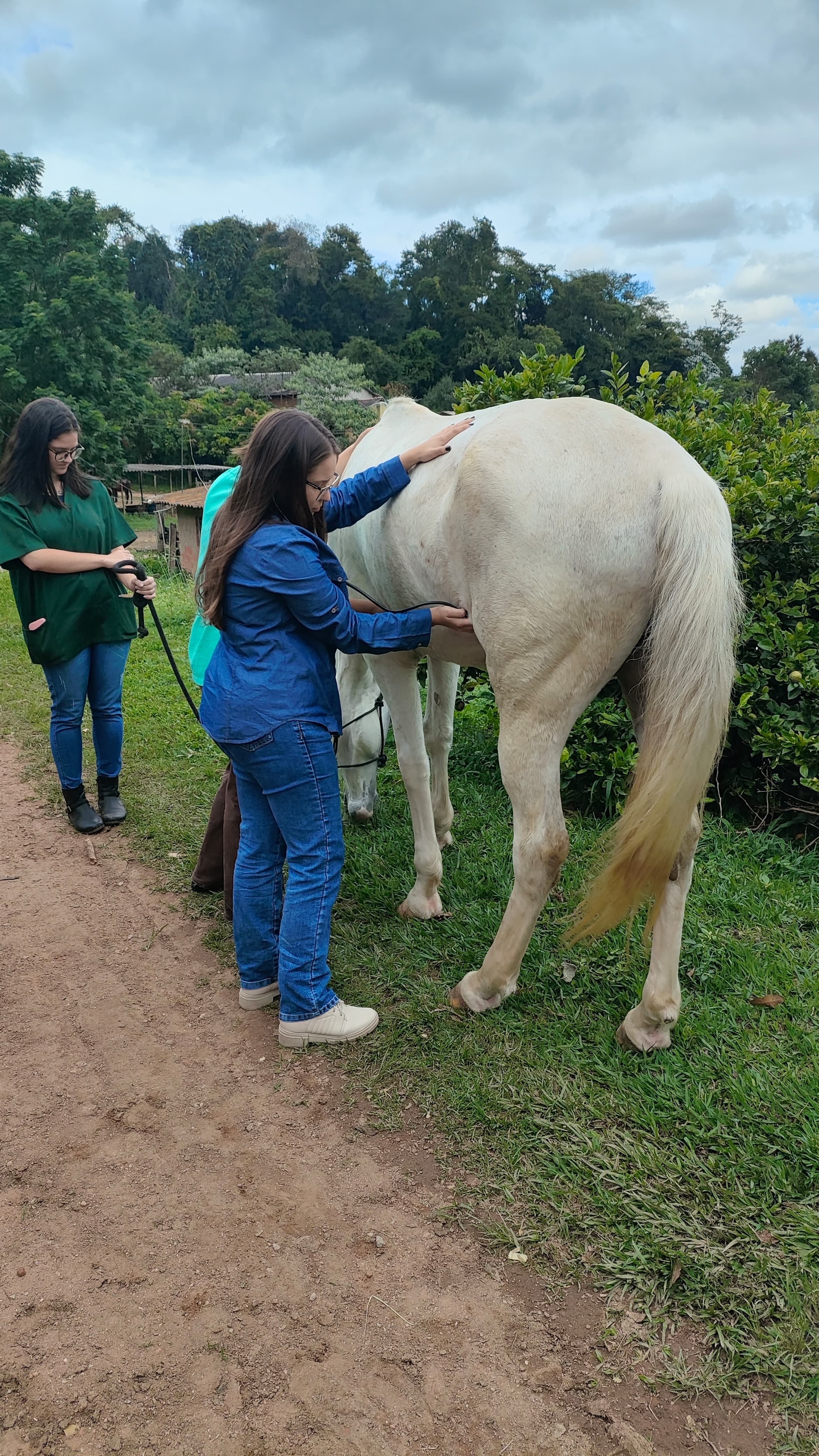 Galeria Luana Neri Duran Hernandes