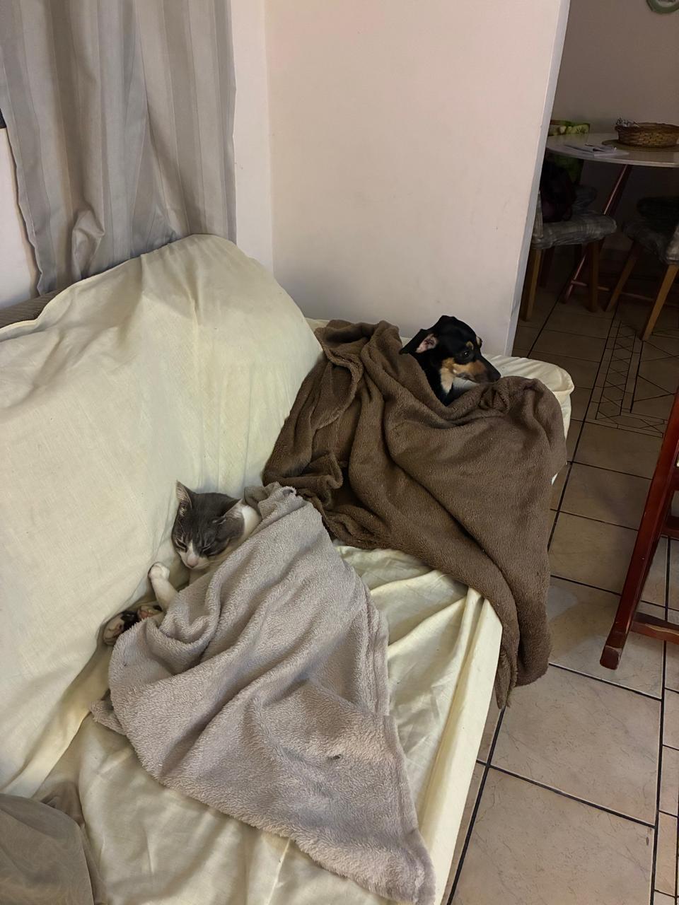 Trabalho de Beatriz Martim — foto 1