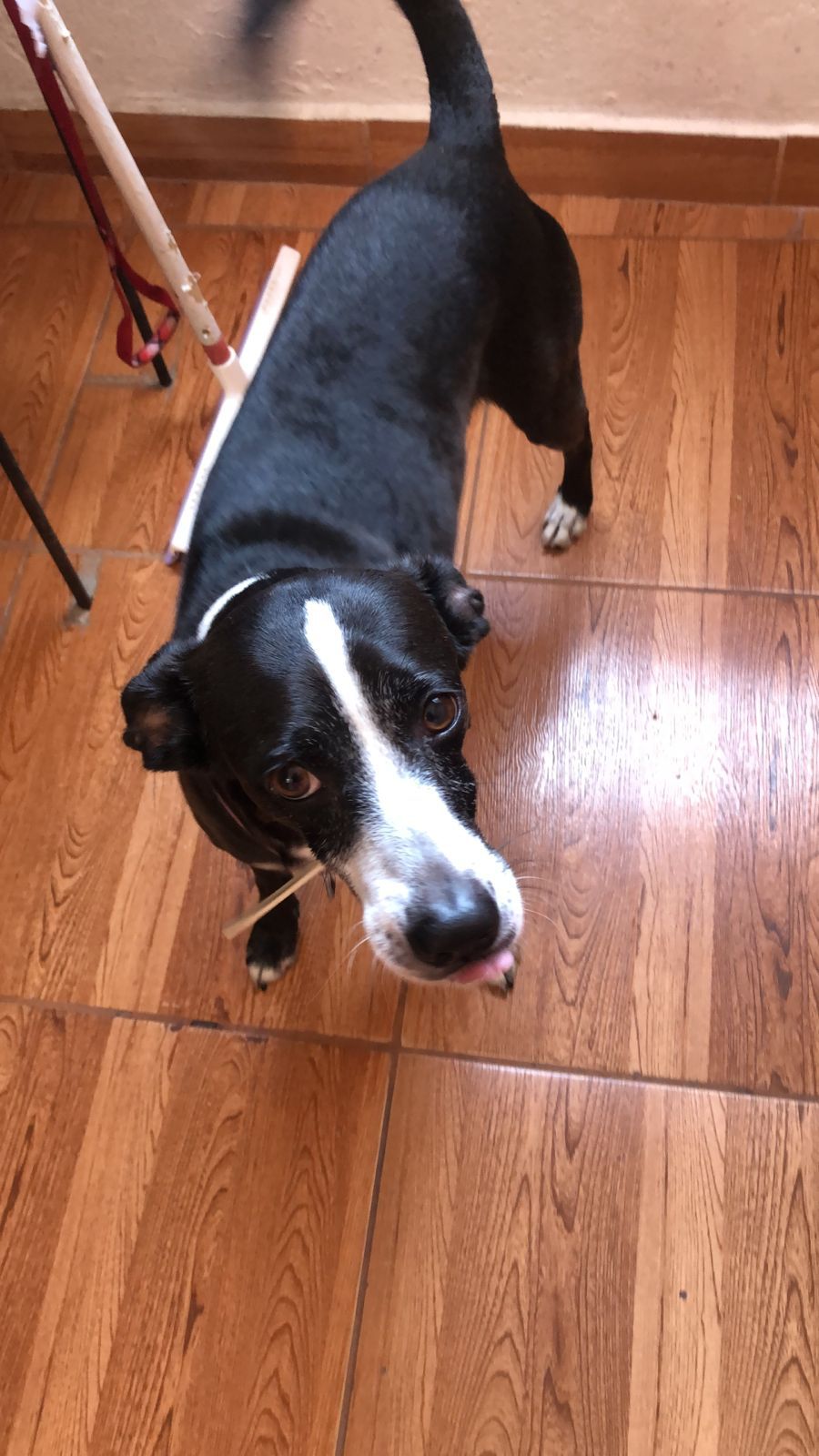 Galeria ANA KAROLINA SENA SANTOS