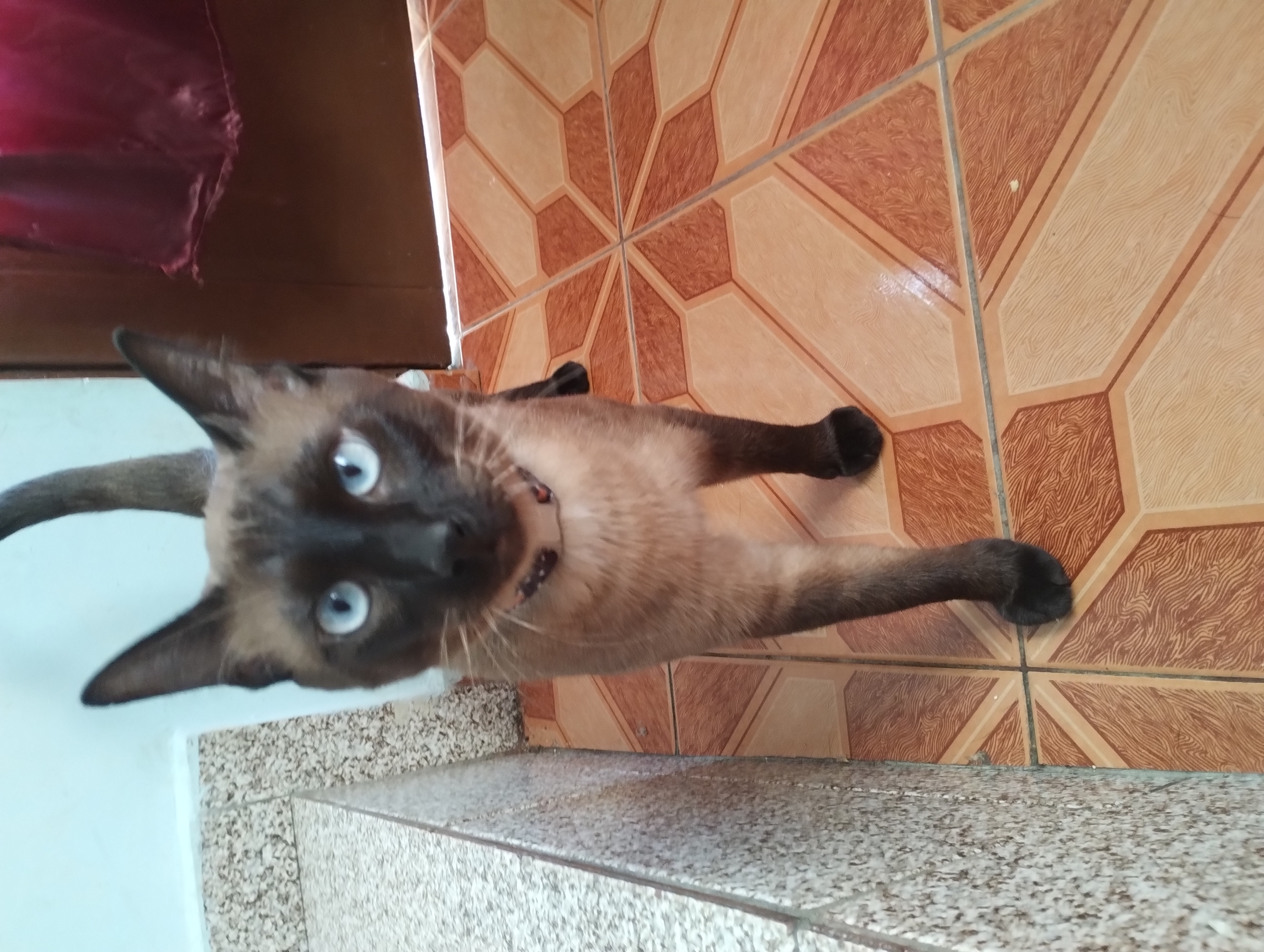 Galeria Verônica Moreira Azevedo