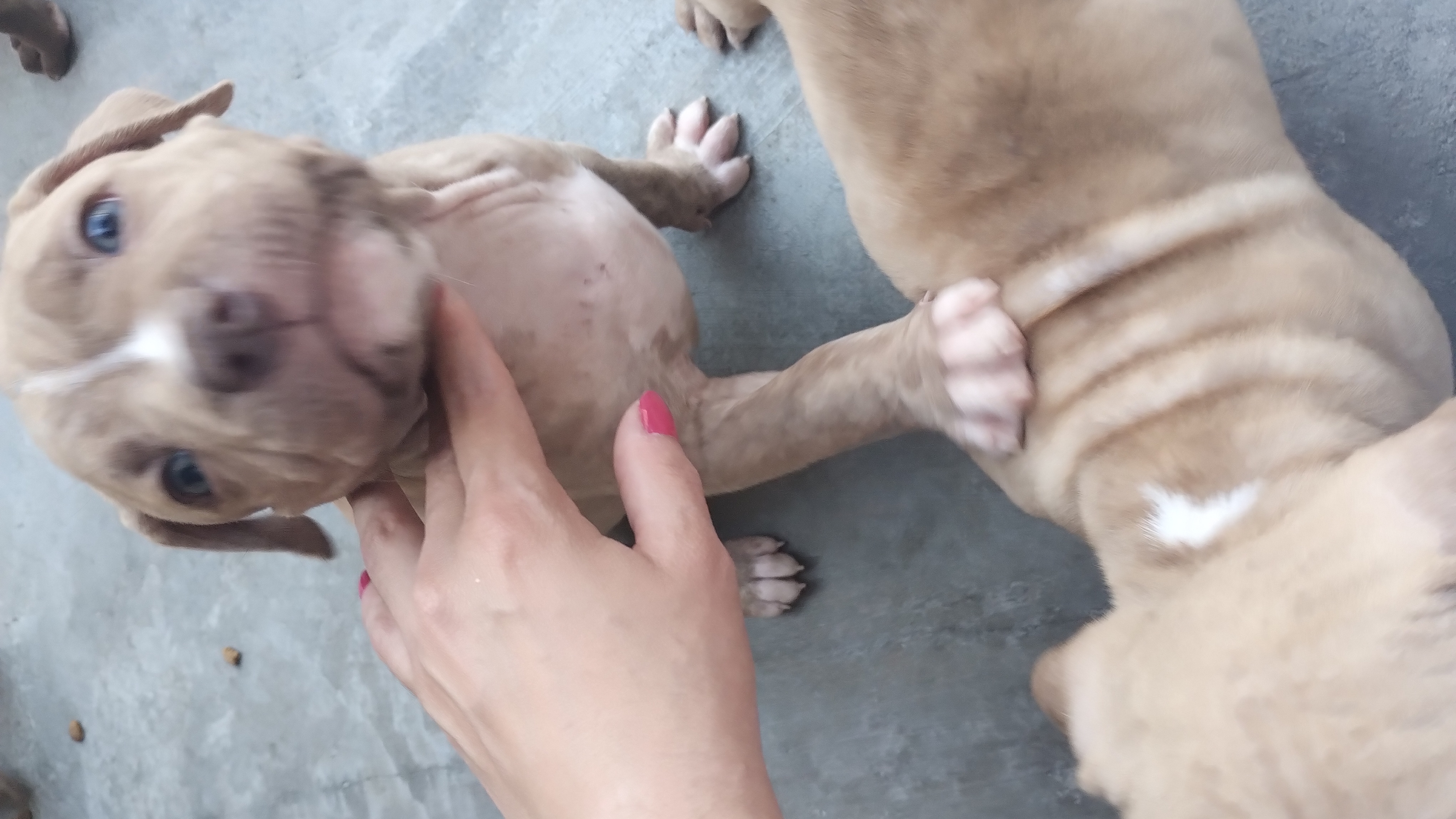 Galeria Verônica Moreira Azevedo