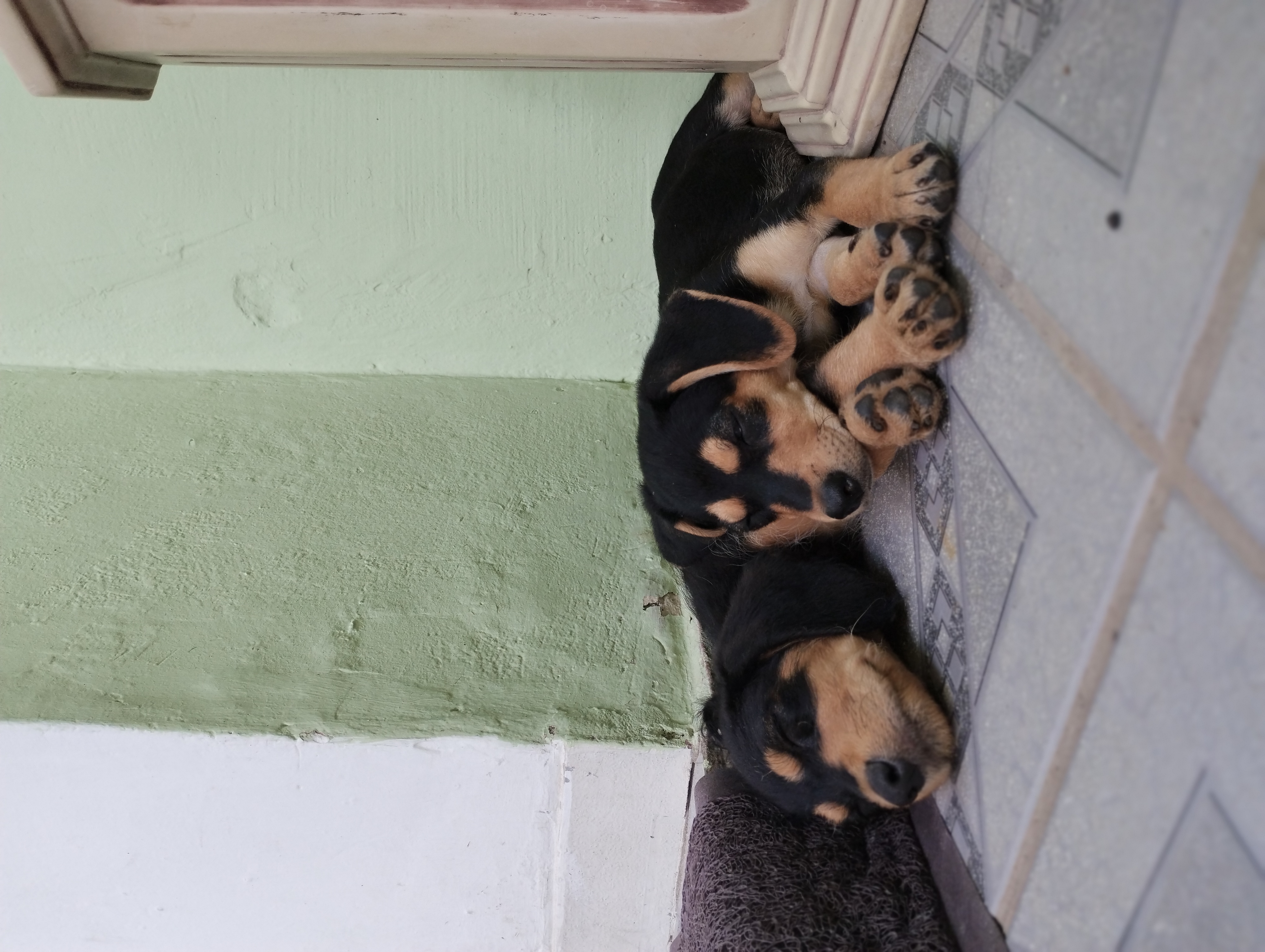 Galeria Verônica Moreira Azevedo