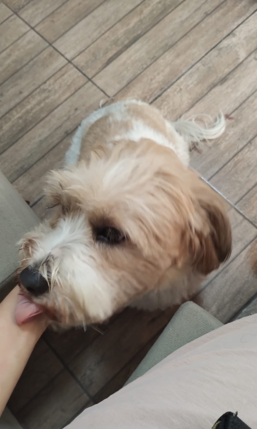 Galeria Verônica Moreira Azevedo