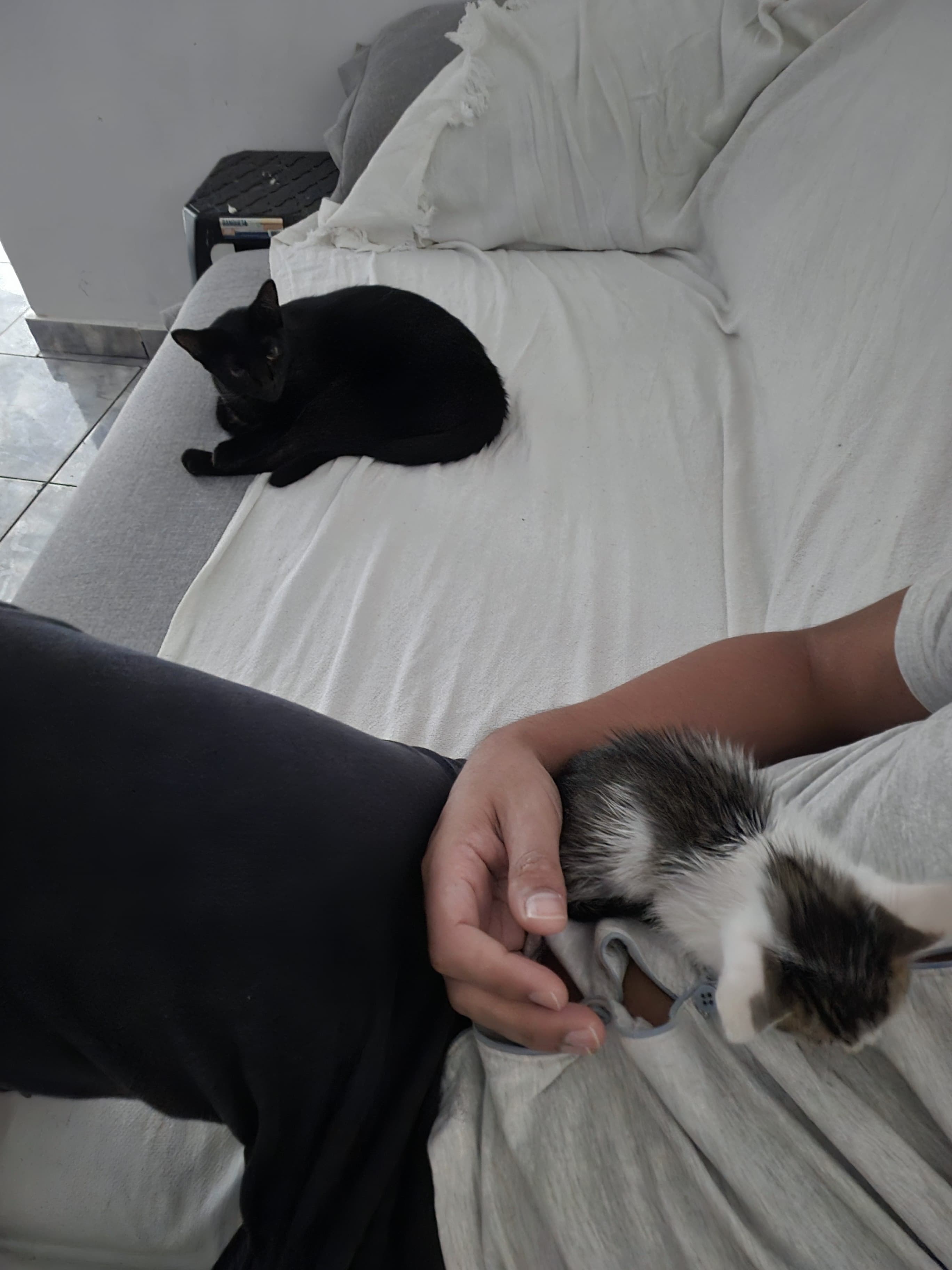 Galeria MIKAEL DAVI SANTANA