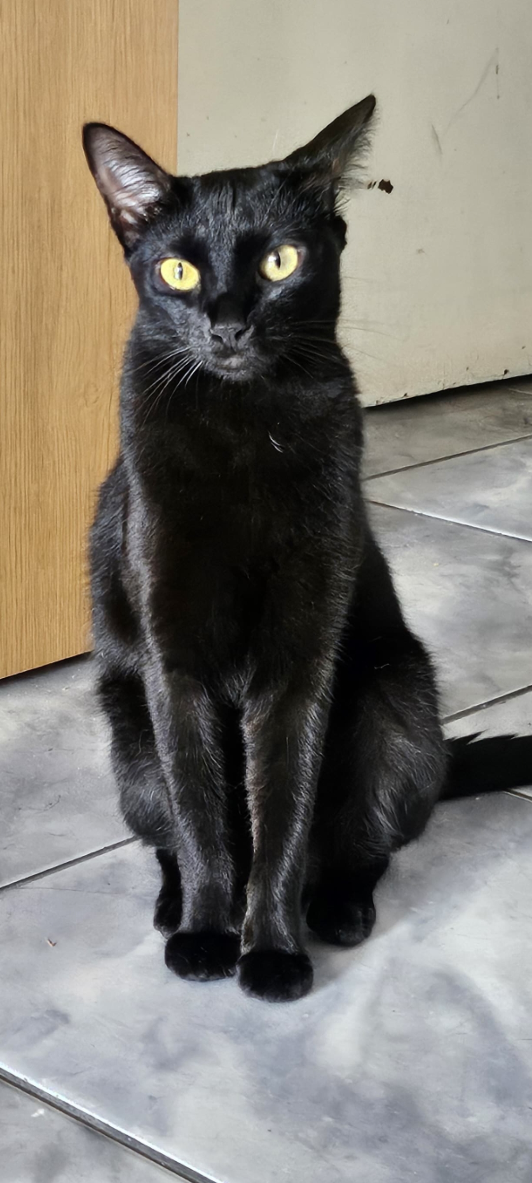 Galeria MIKAEL DAVI SANTANA