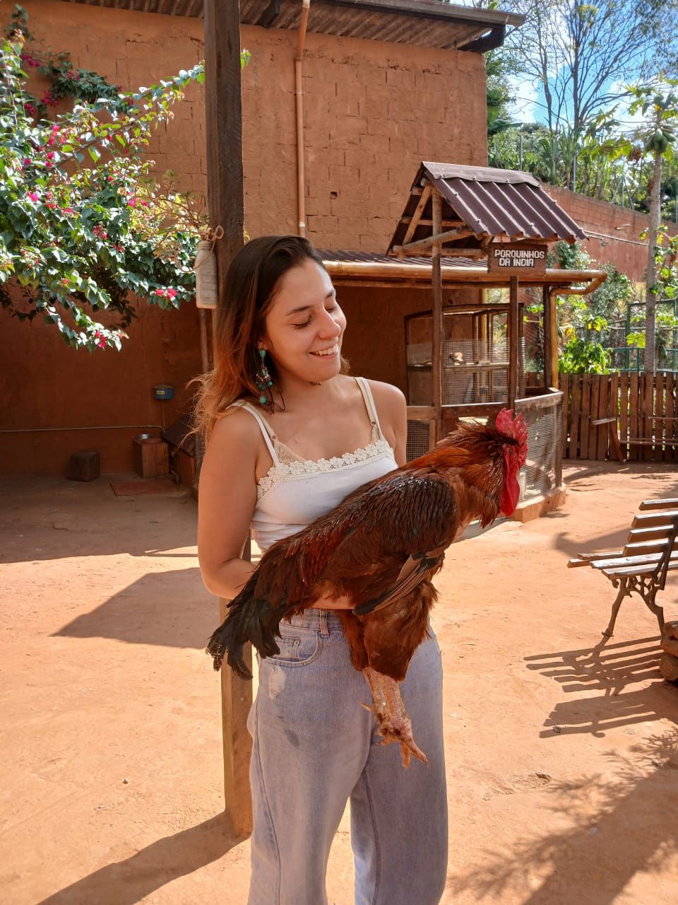 Trabalho de Gabriela Pires — foto 1