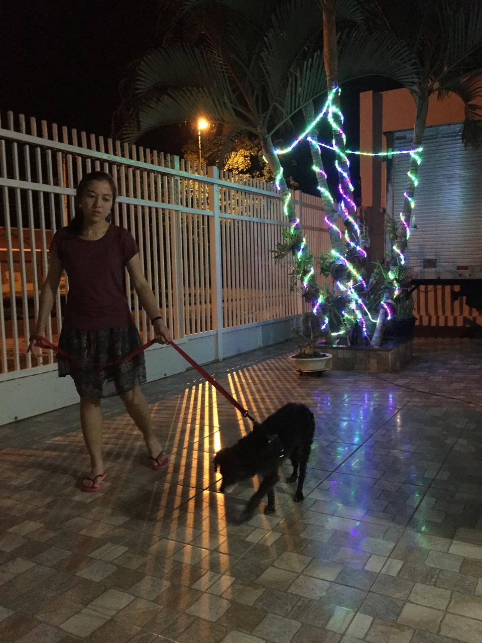 Galeria LETICIA TRINDADE