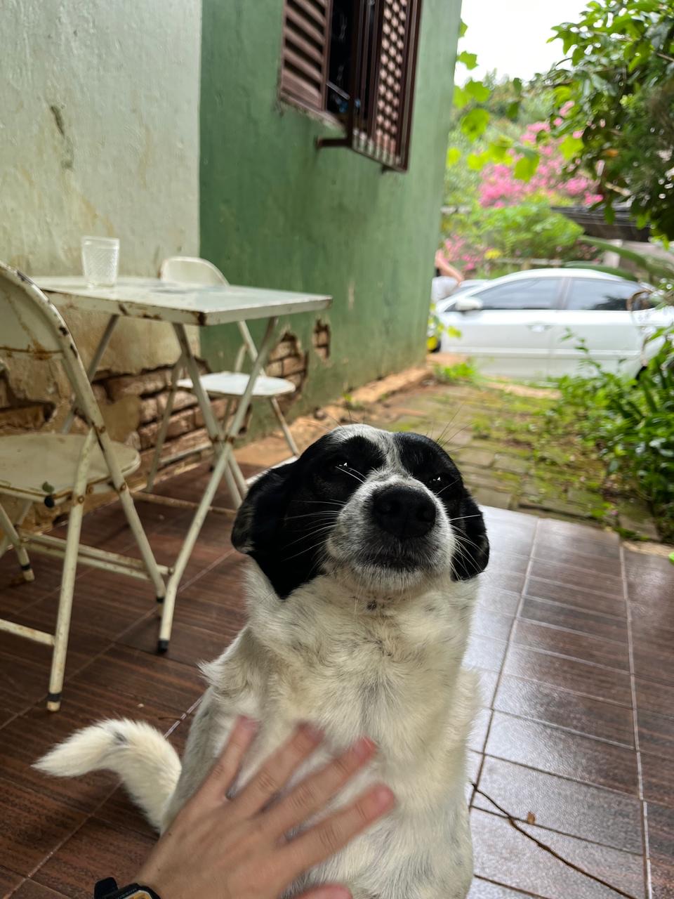 Galeria LETICIA TRINDADE