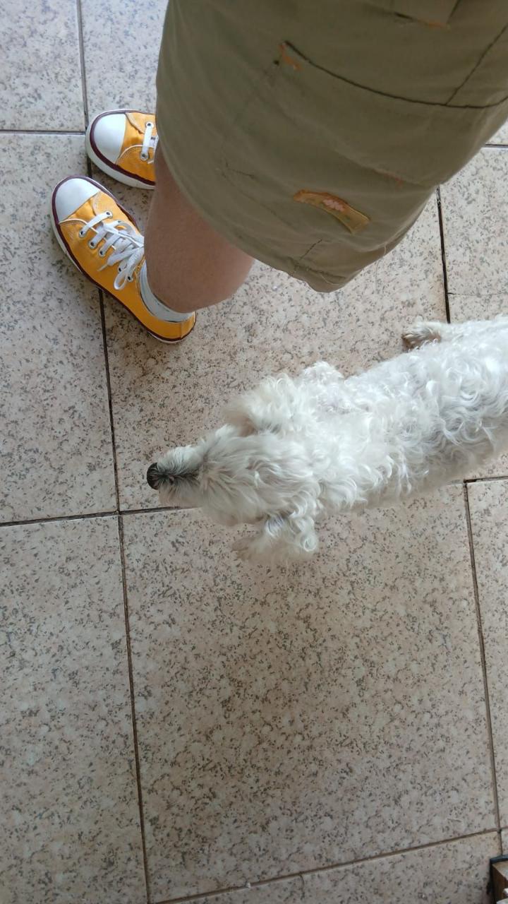 Trabalho de Eloá Sobral — foto 1