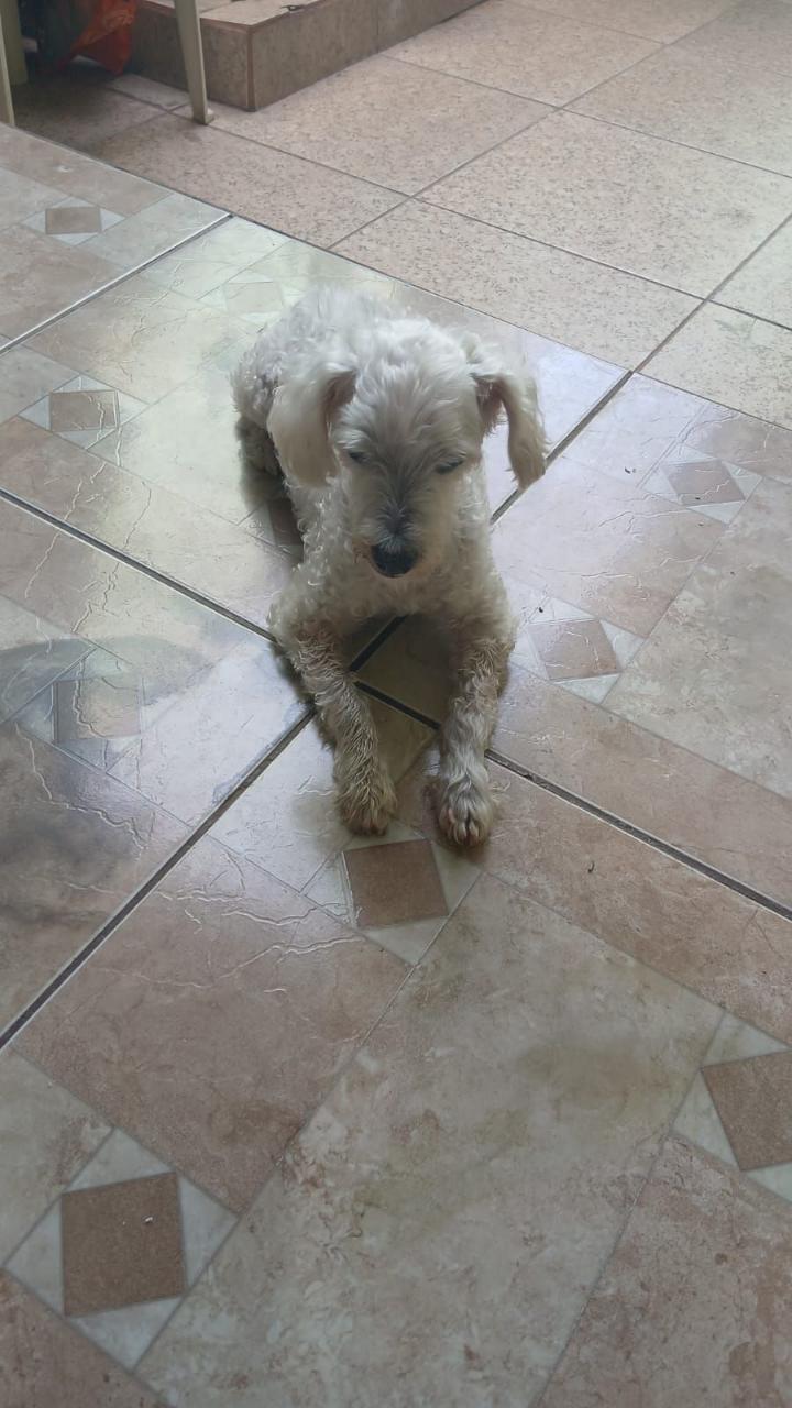 Trabalho de Eloá Sobral — foto 2