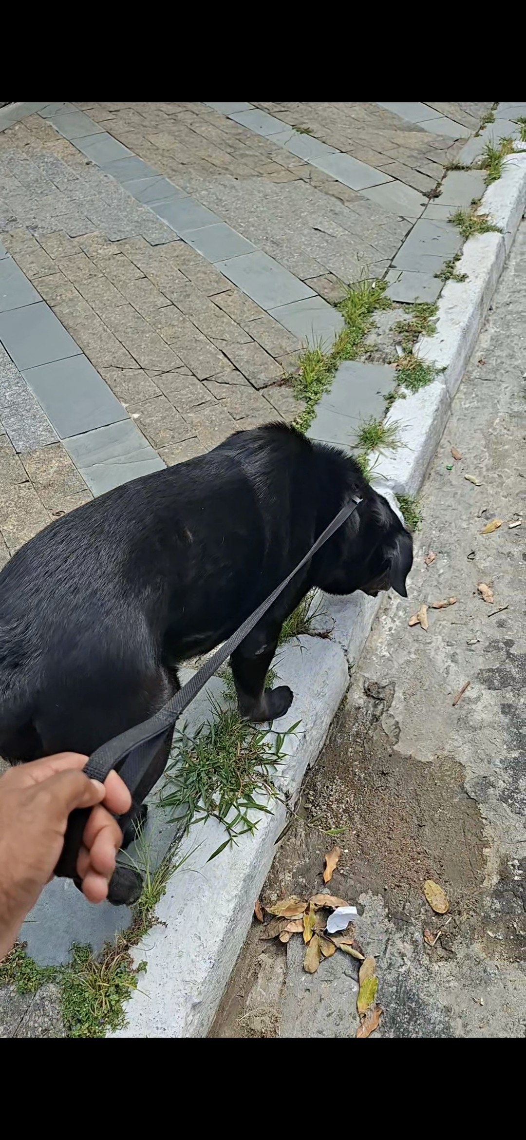 Capa Yuri Félix dos Santos