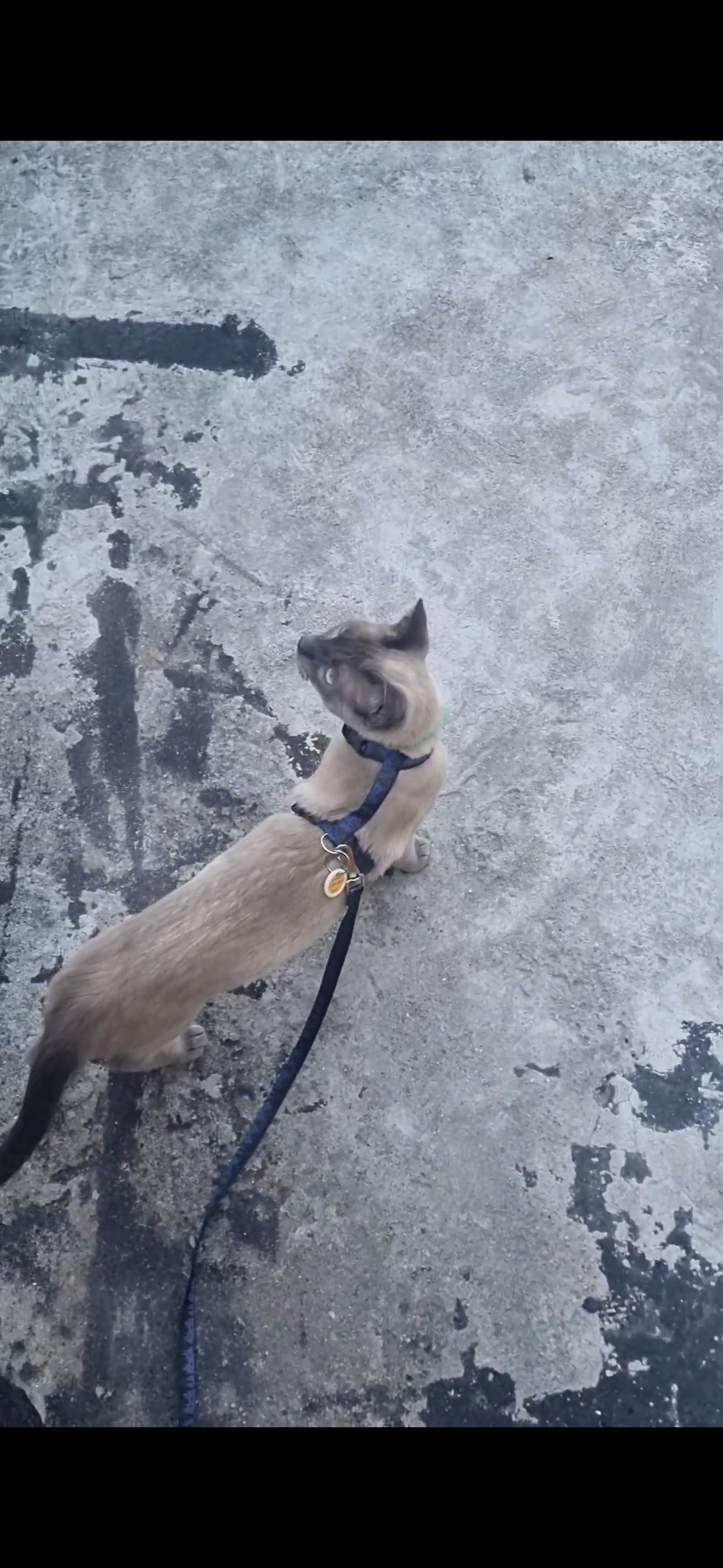 Galeria Yuri Félix dos Santos