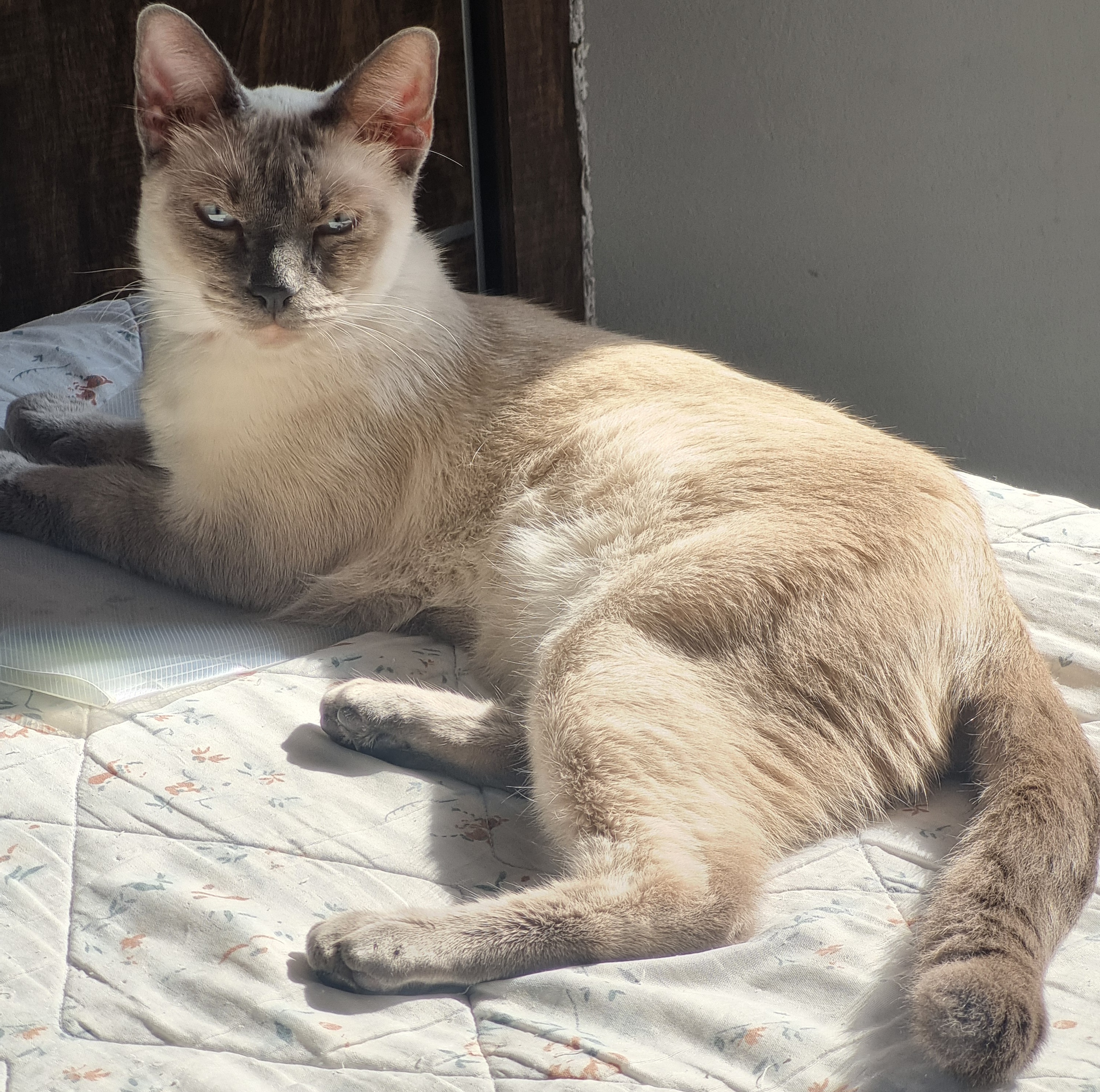 Galeria Yuri Félix dos Santos