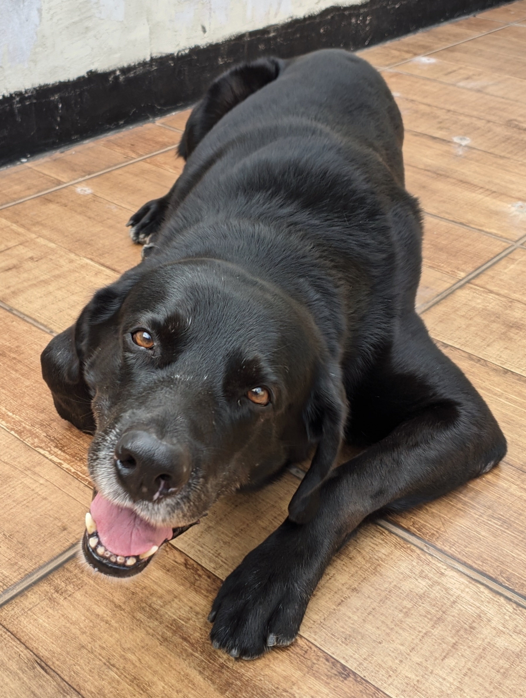 Galeria Yuri Félix dos Santos