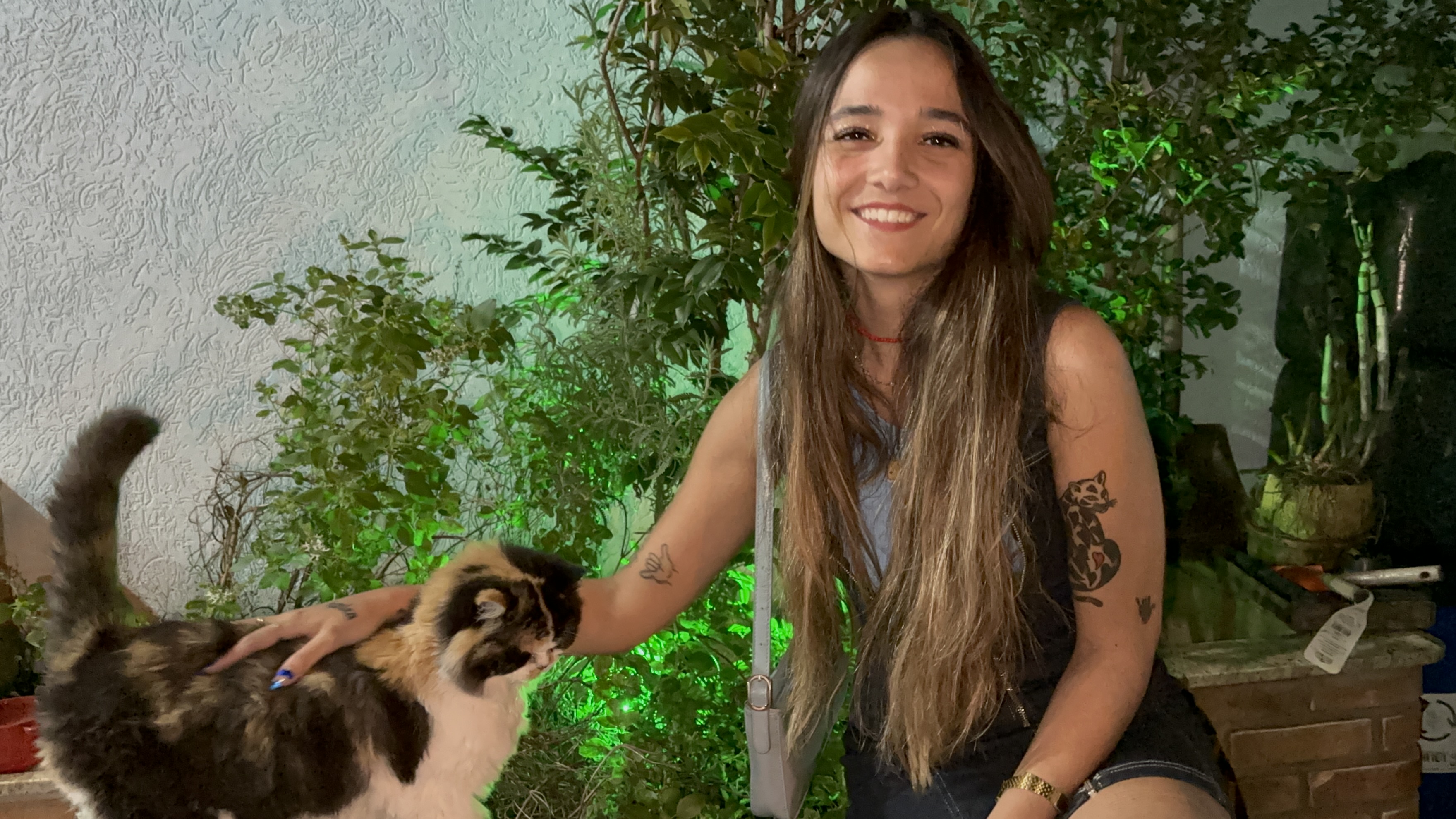 Galeria Laura Carvalho Cunha
