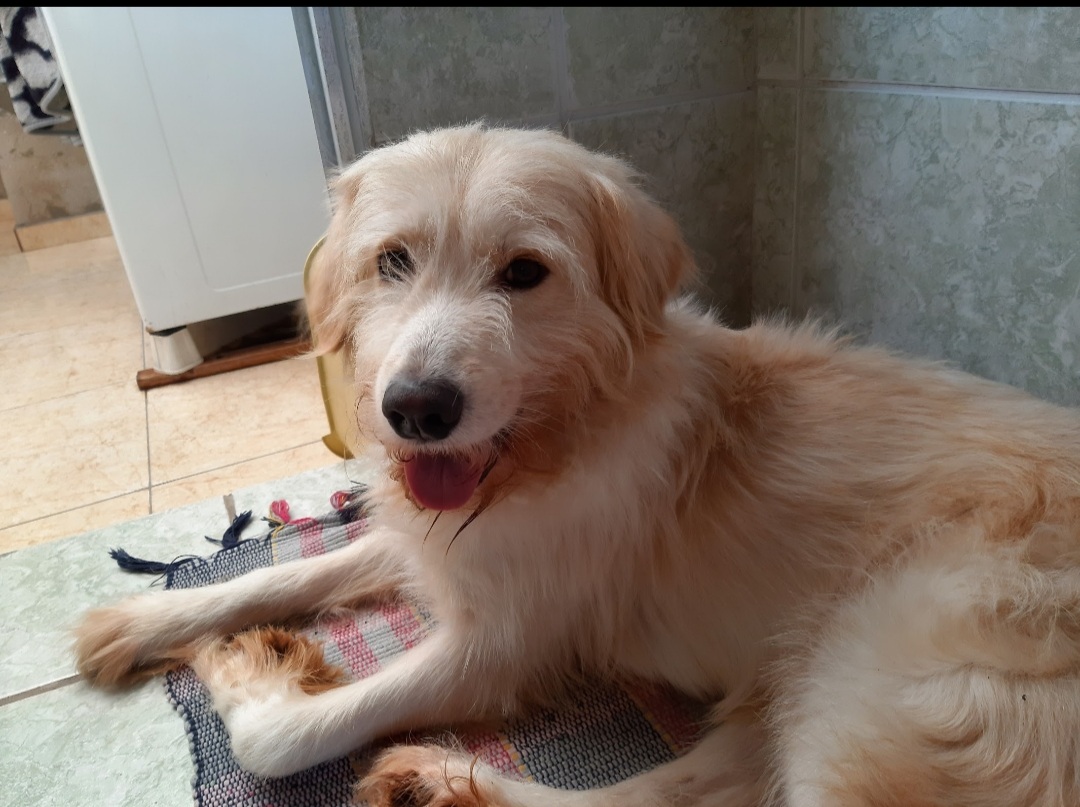 Galeria Aline Cristine Ortale