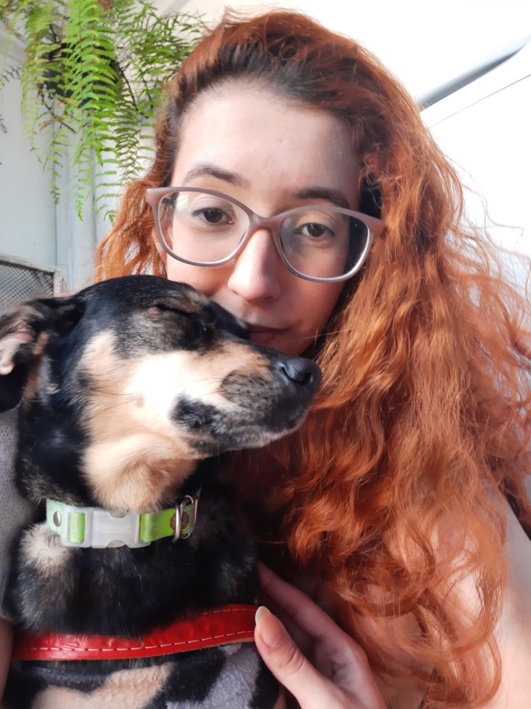 Galeria Aline Cristine Ortale